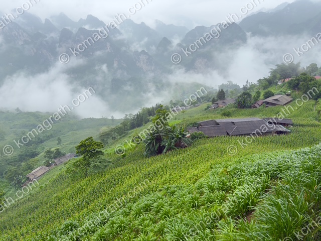 Yen Minh's Lung Ho Sloping Corn Fields & Mountains in Fog, Vietnam