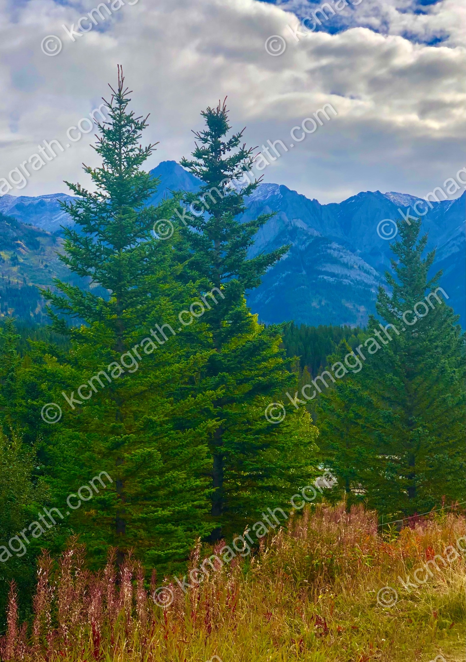 Banff's Canadian Rockies, Trees & Mountains 3, Alberta, Canada