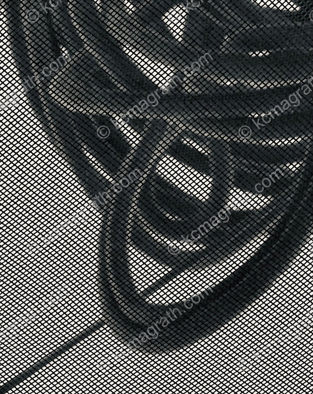 Jumble of Boat Lines Viewed from Below Deck Through a Screen, Abstract, B&W, 