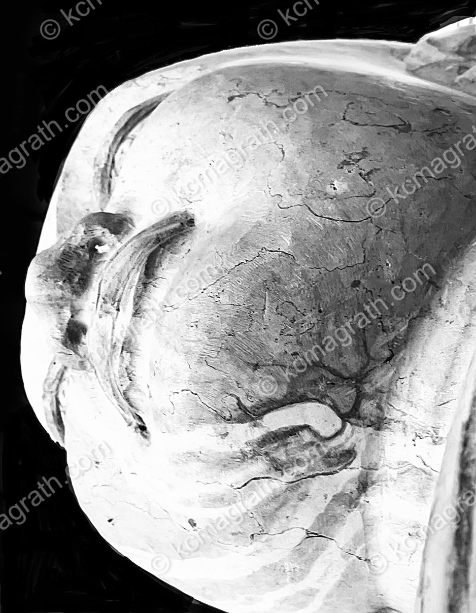 Bai Dinh Temple's Statue Head, Cracked & Weathered, Taken From Below, B&W, Vietnam