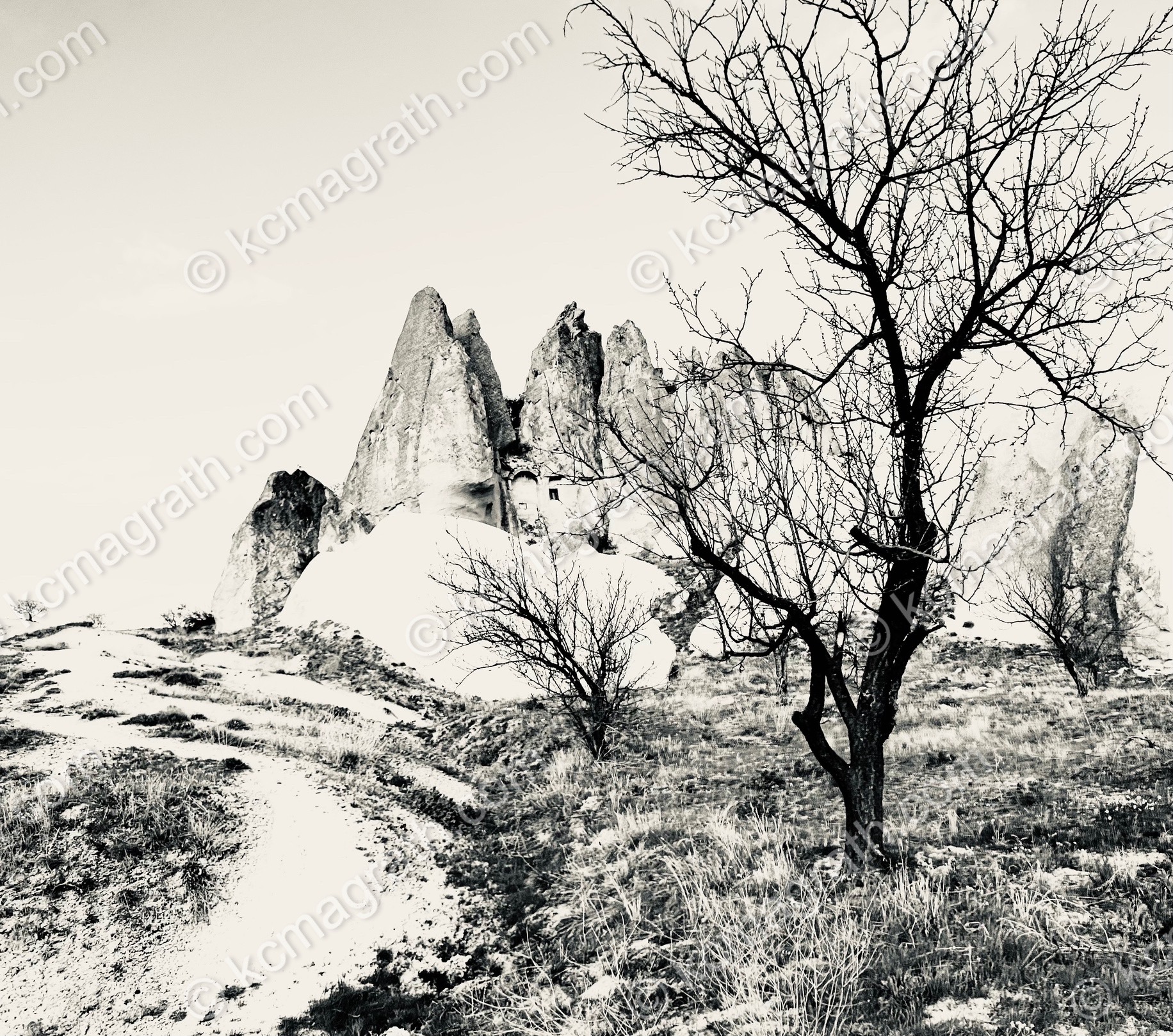 Kapadokya's Otherworldly Landscape 3, B&W, Turkiye