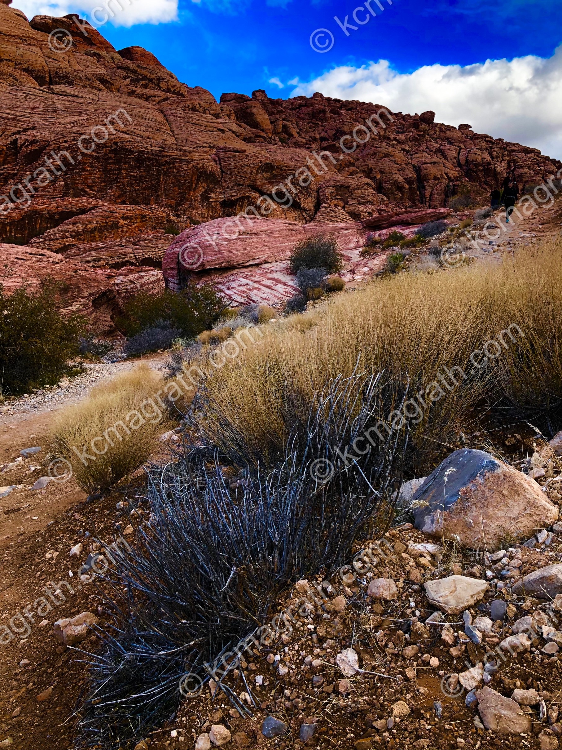 Las Vegas's Red Rock Canyon 2, Nevada, USA
