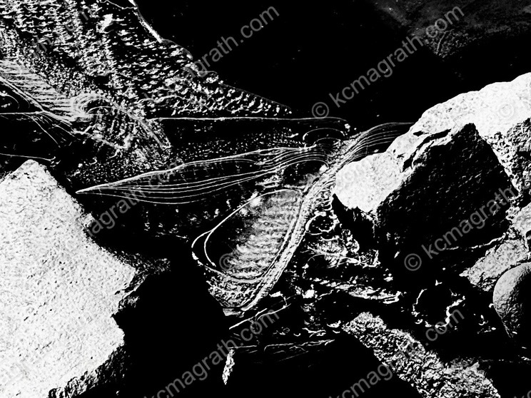 Ice on Mendenhall Lake, Juneau, Alaska, USA