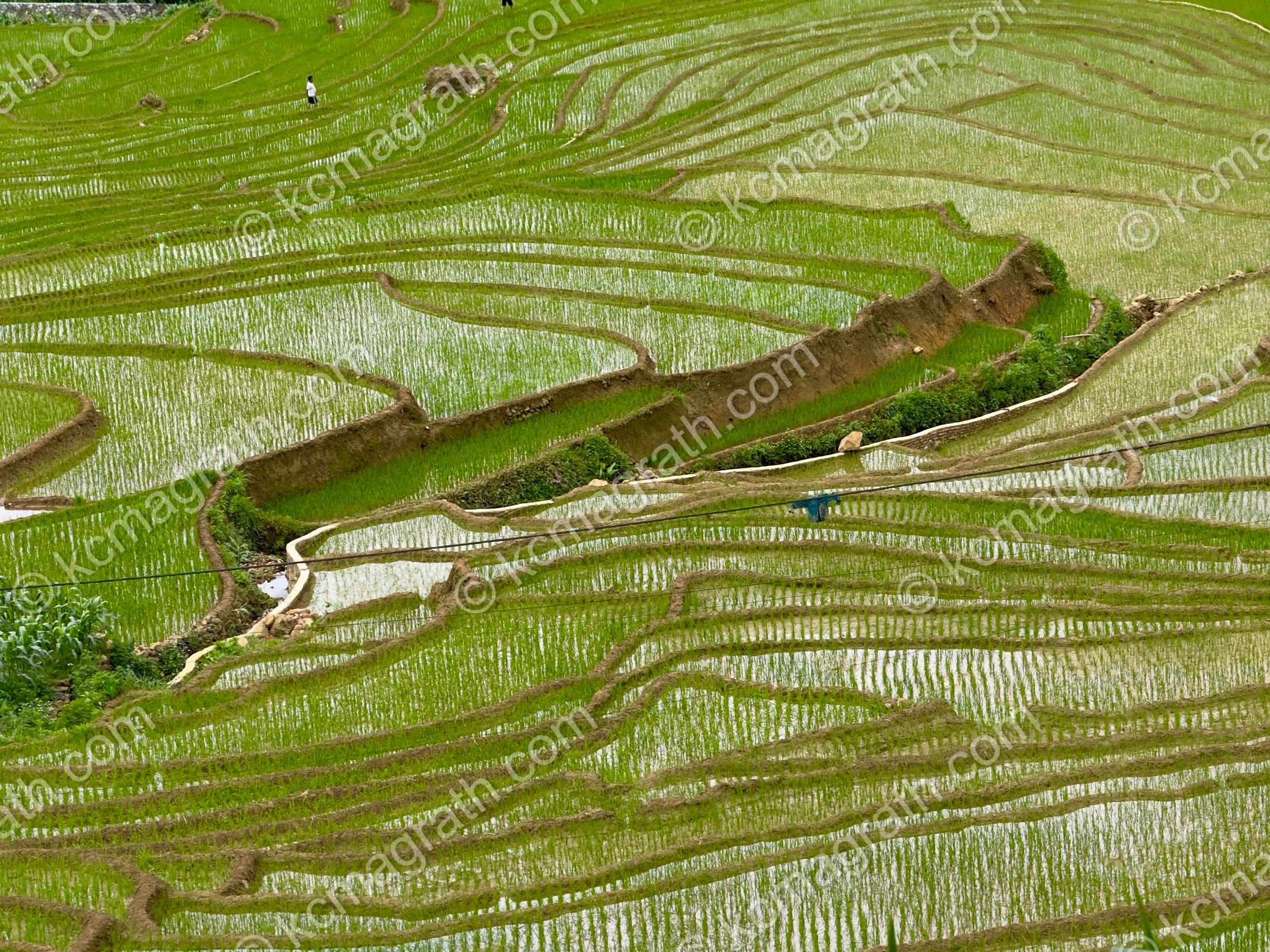 Sa Pa's Cau May Terraced Rice Paddies, Vietnam