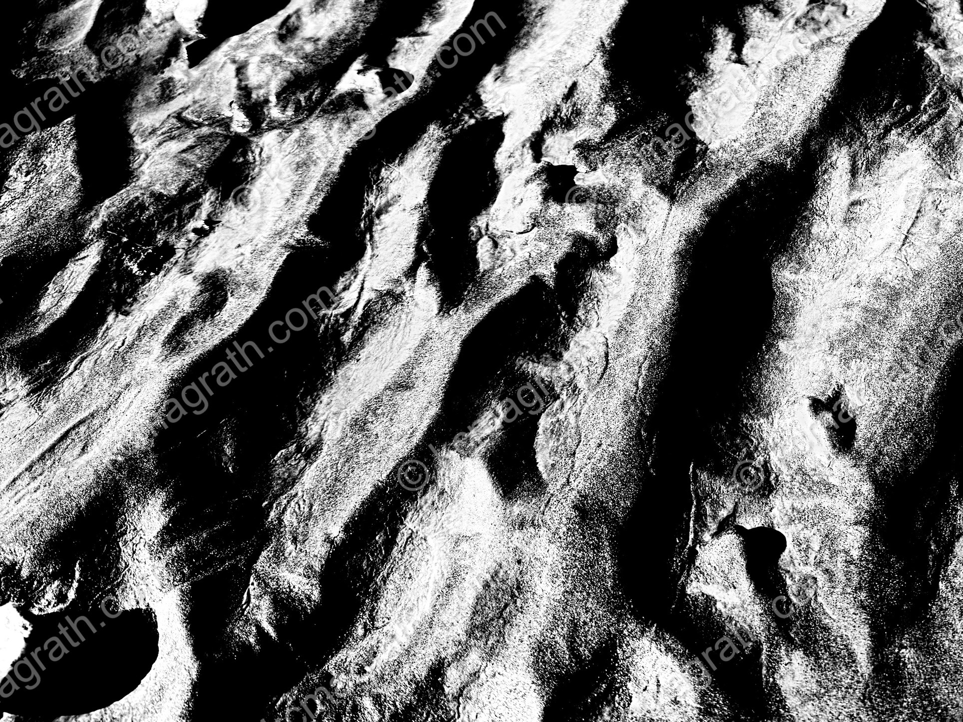 Sorted stripes on permafrost ground (cryodisturbance),  Mendenhall Lake, Juneau, Alaska, USA