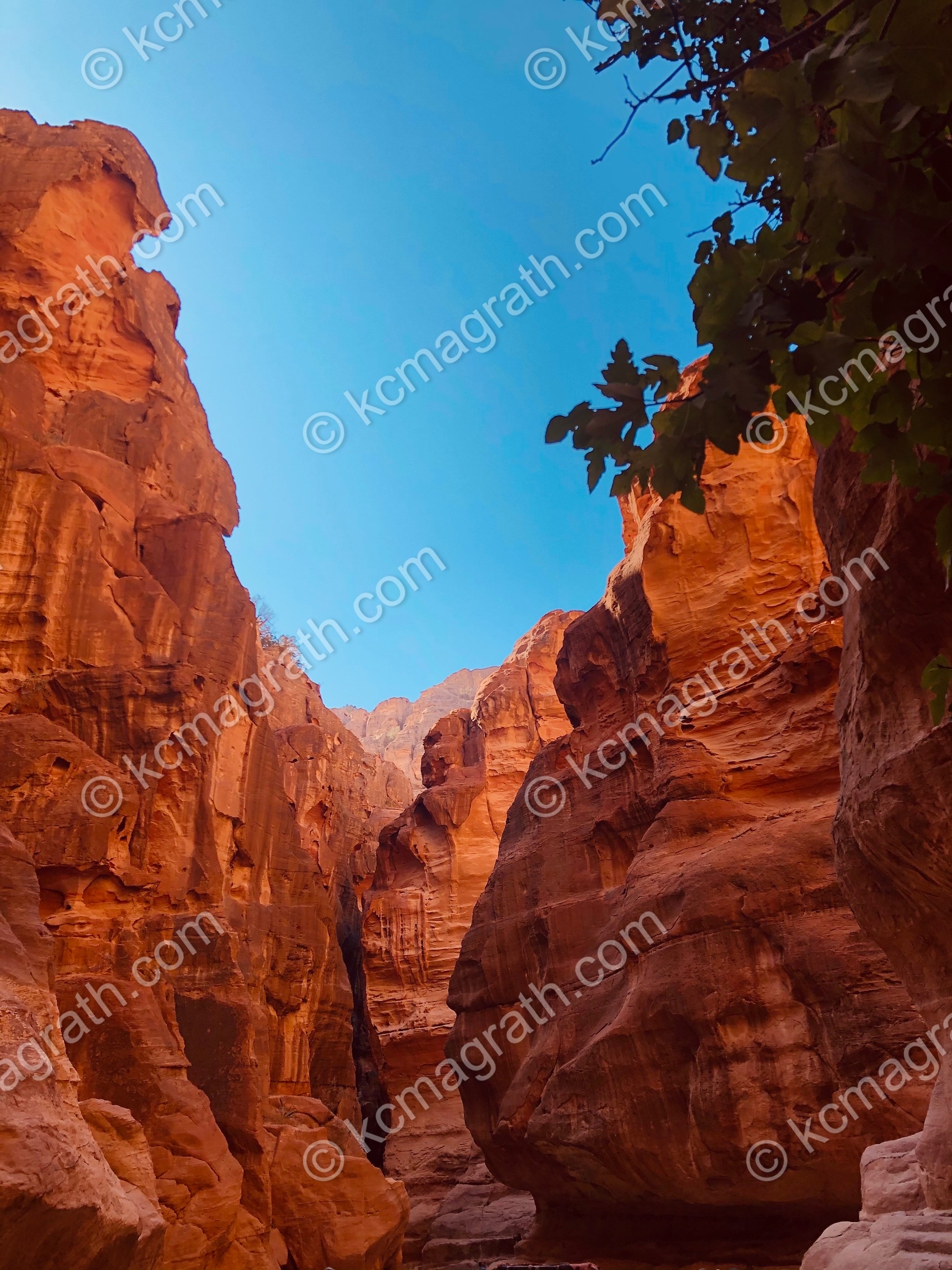 Aqaba's Crimson Passage Rugged Canyon Walls, Jordan