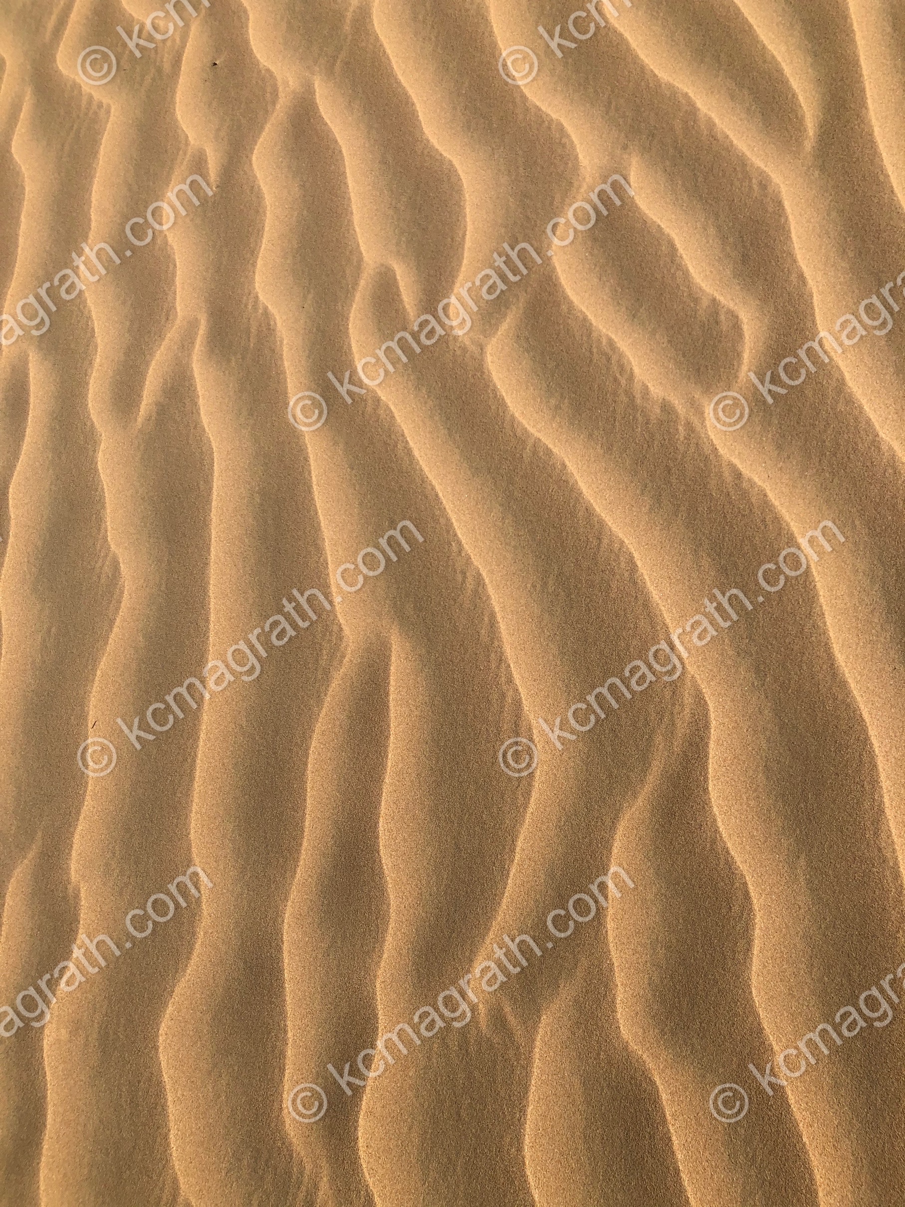 Abu Dhabi's Timeless Wind Dance on Middle Eastern Desert Sands 1, UAE