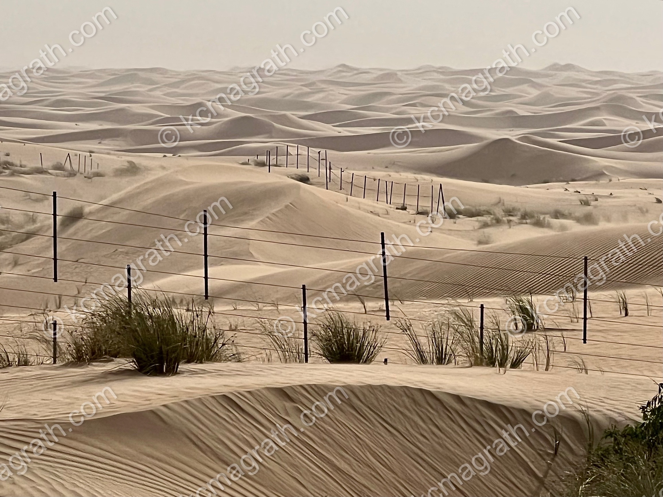 Dubai's Rippling Sea of Desert Dunes, UAE