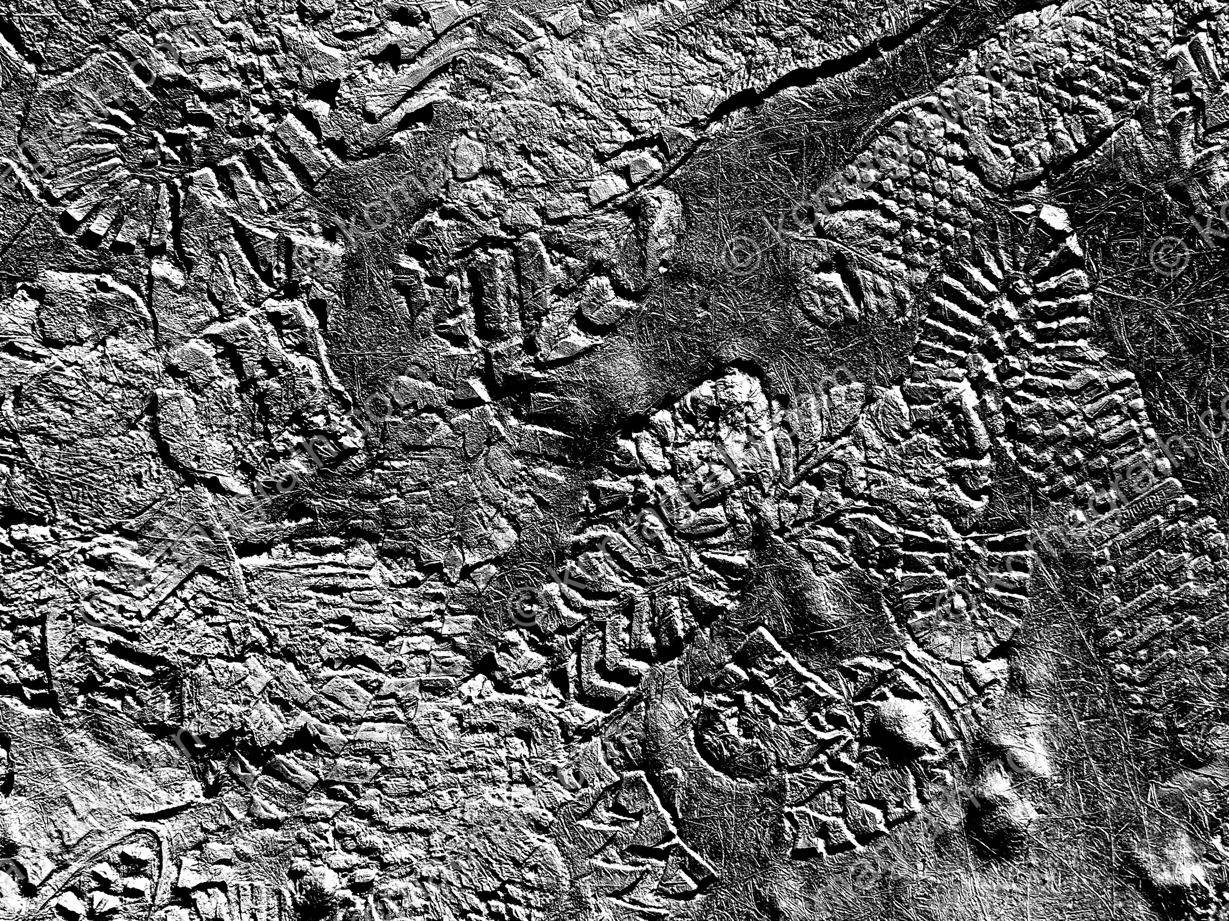 Footprints in muddy permafrost, #2, Mendenhall Lake, Juneau, Alaska, USA