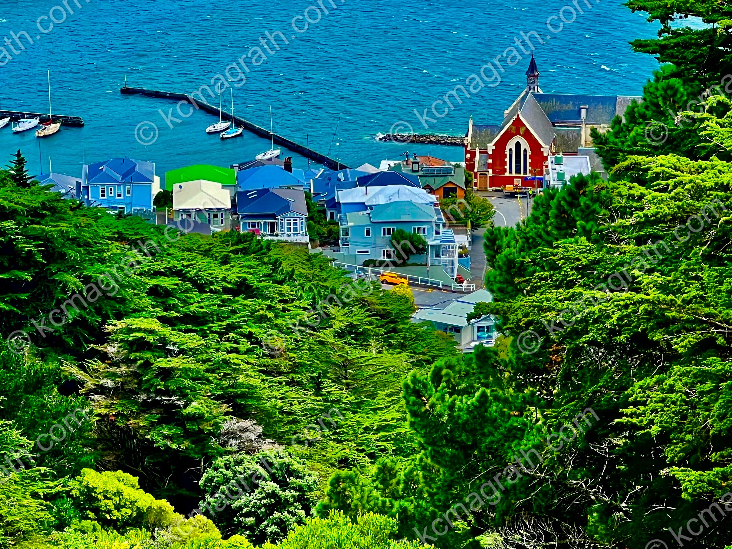 Wellington's Chares Plimmer Park Area, New Zealand
