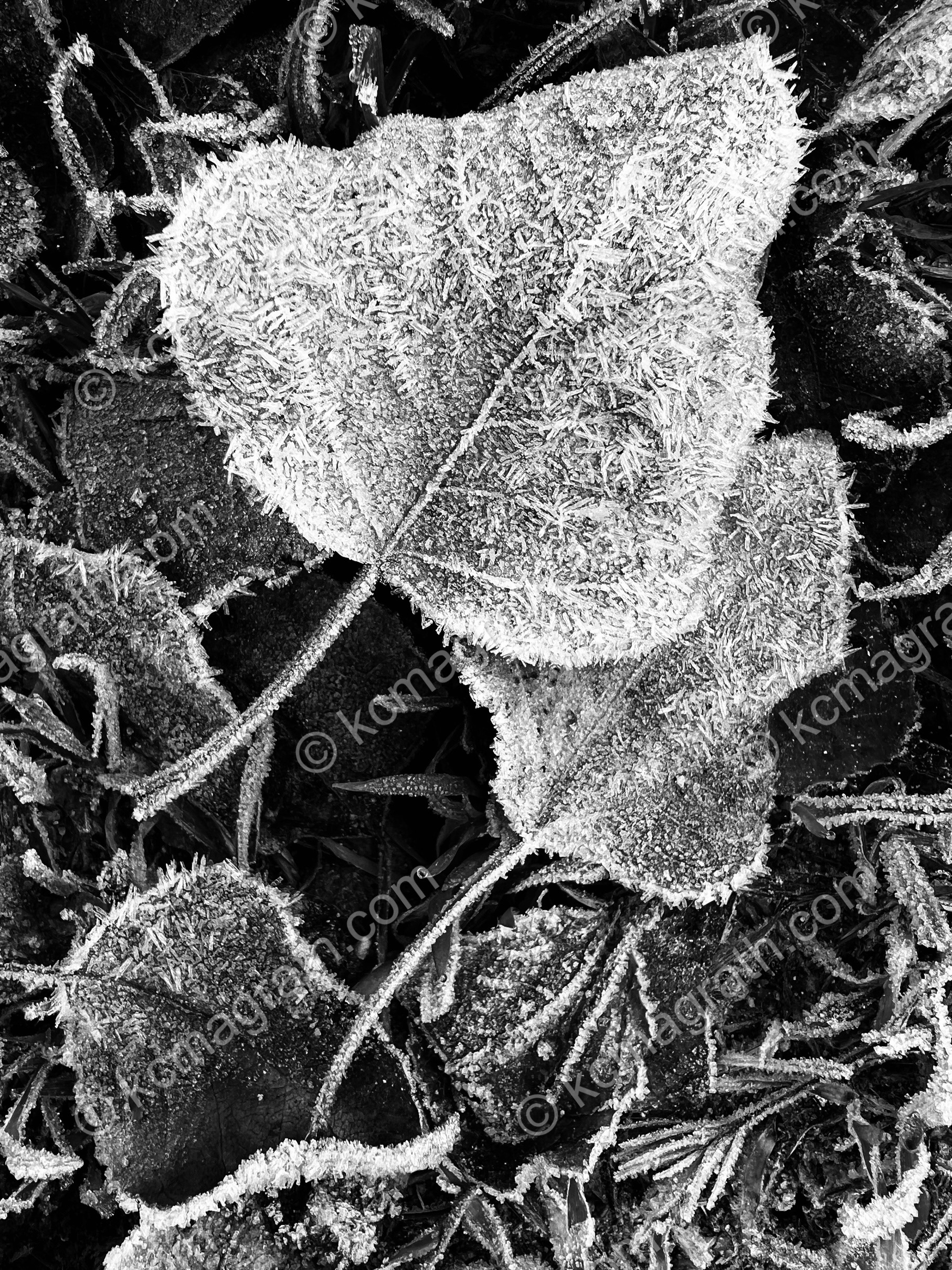 Kapadokya's Winter Calligraphy 1, Still Life, B&W, Turkiye