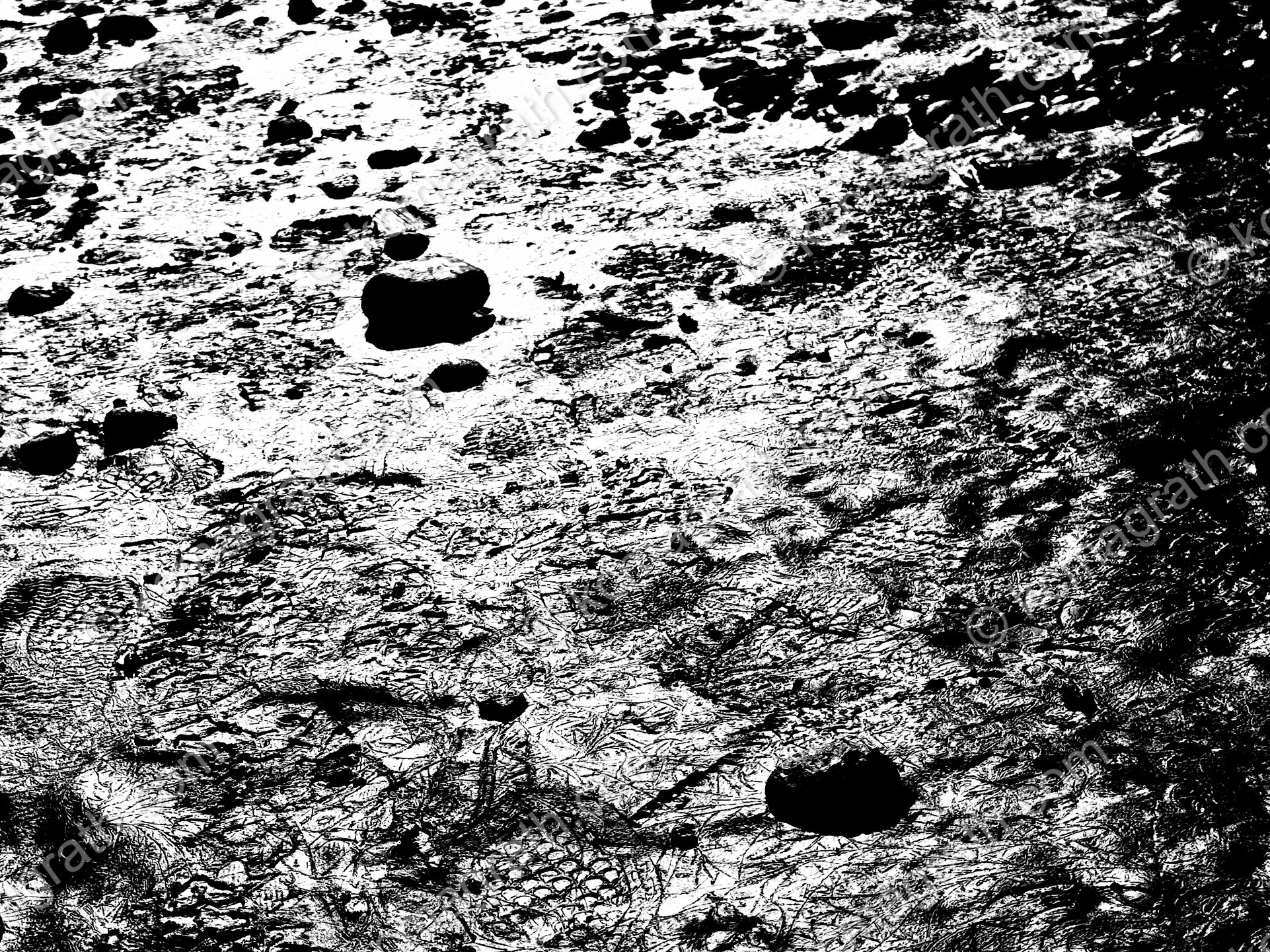 Muddy permafrost, Mendenhall Lake, Juneau, Alaska, USA