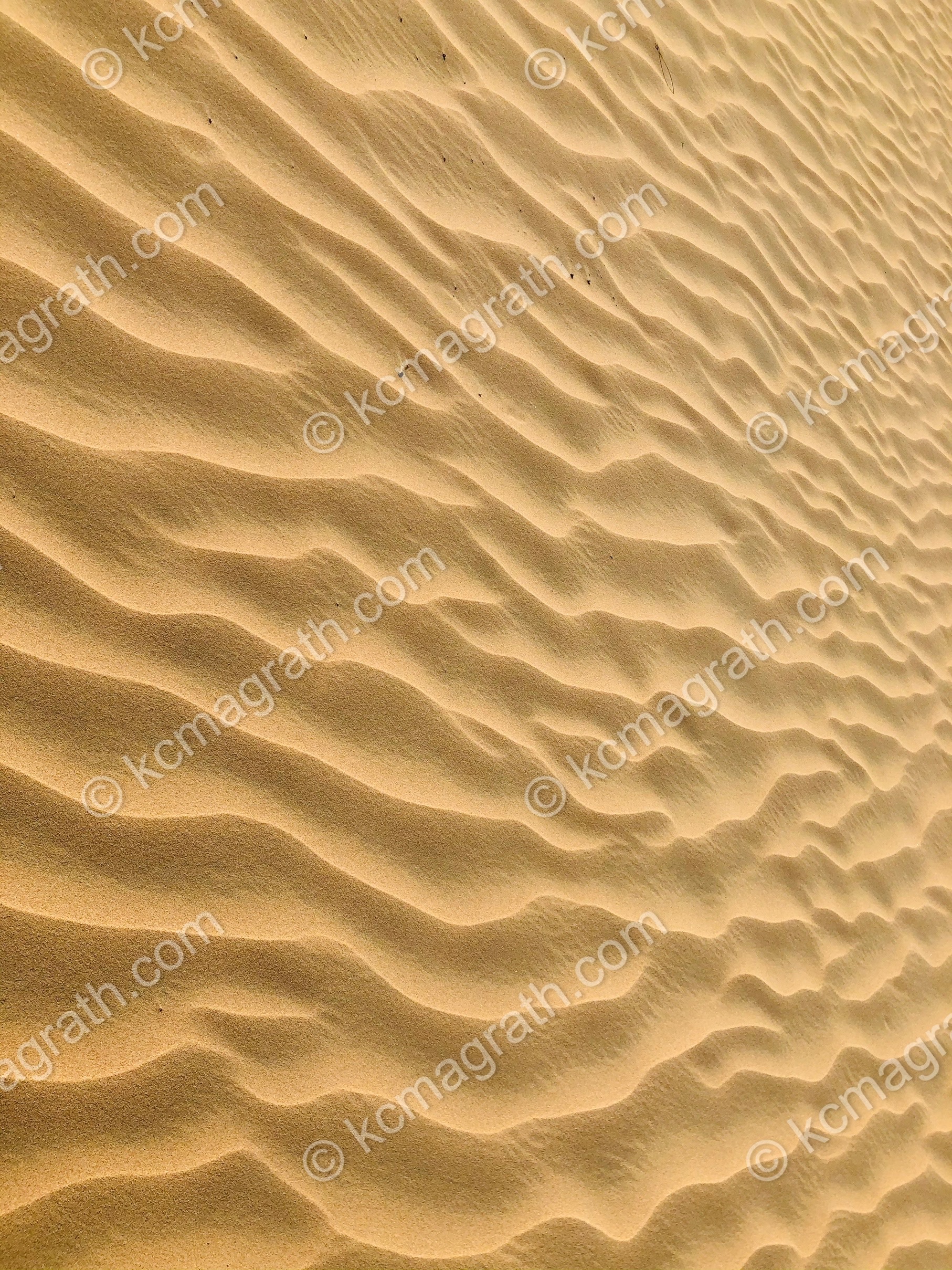 Abu Dhabi's Timeless Wind Dance on Middle Eastern Desert Sands 2, UAE