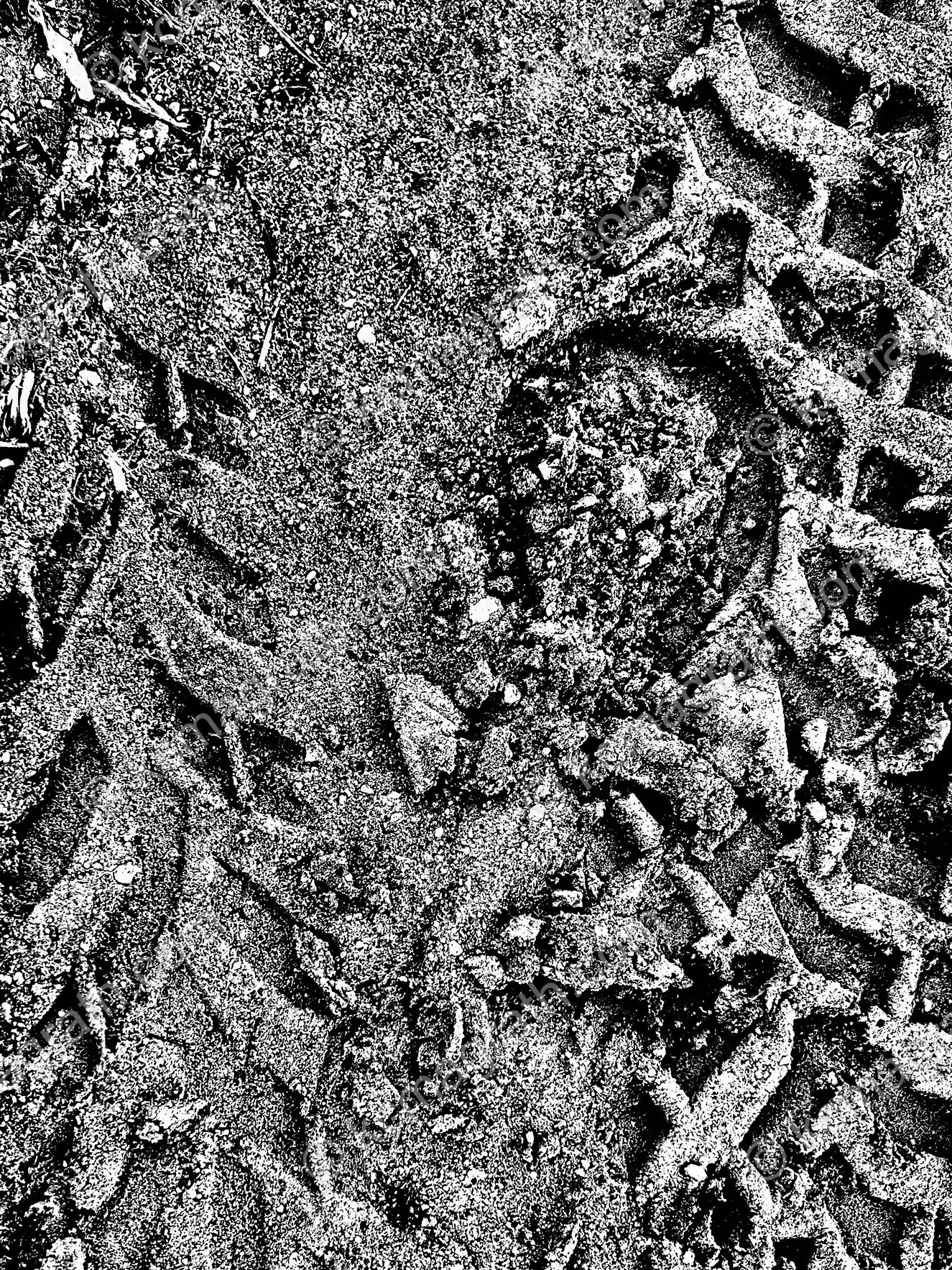 Horseshoe print in tire tracks, Goreme, Kapadokya, Turkiye