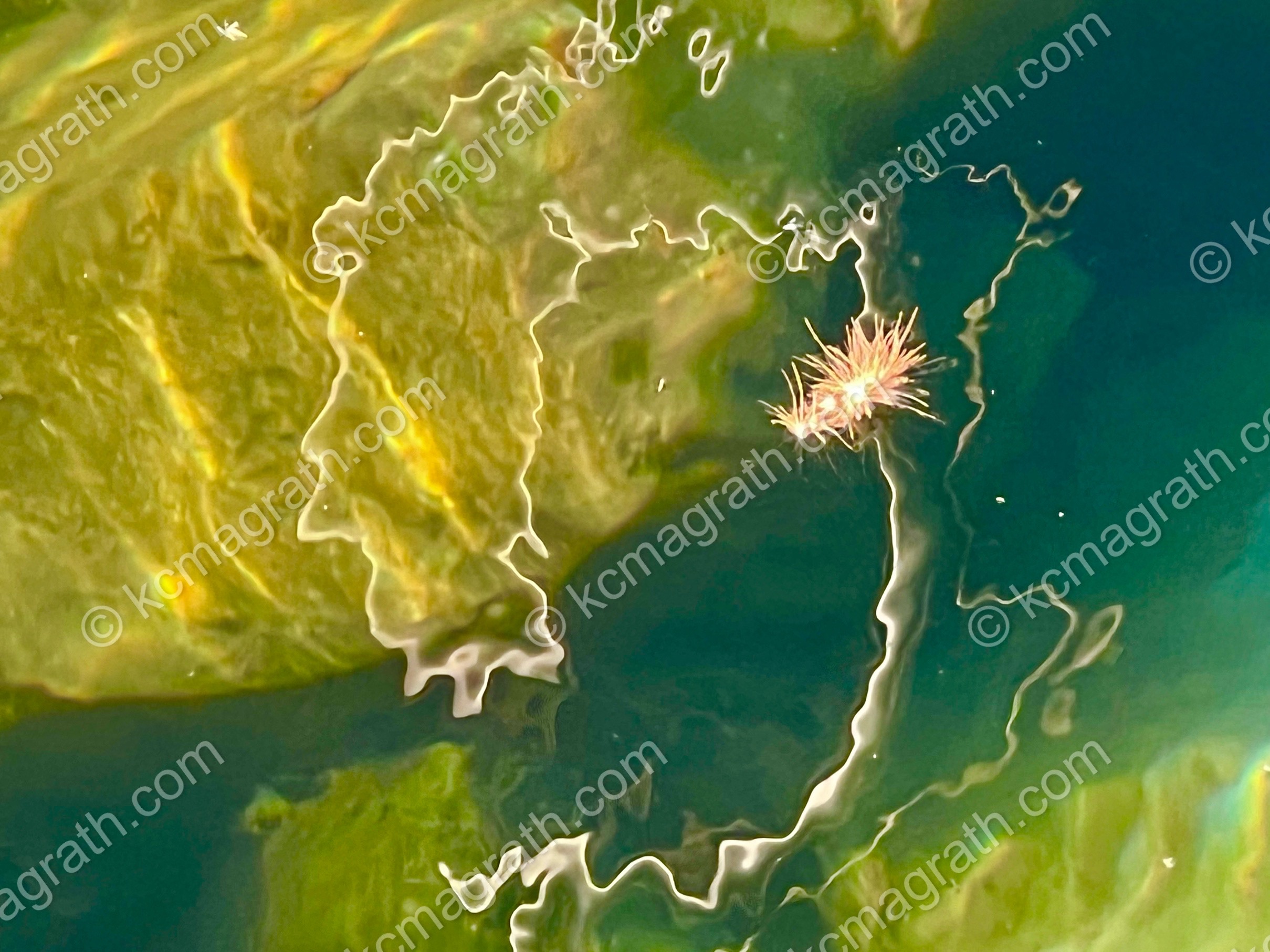 Didim's Light Play on Water 1, Abstract, Turkiye