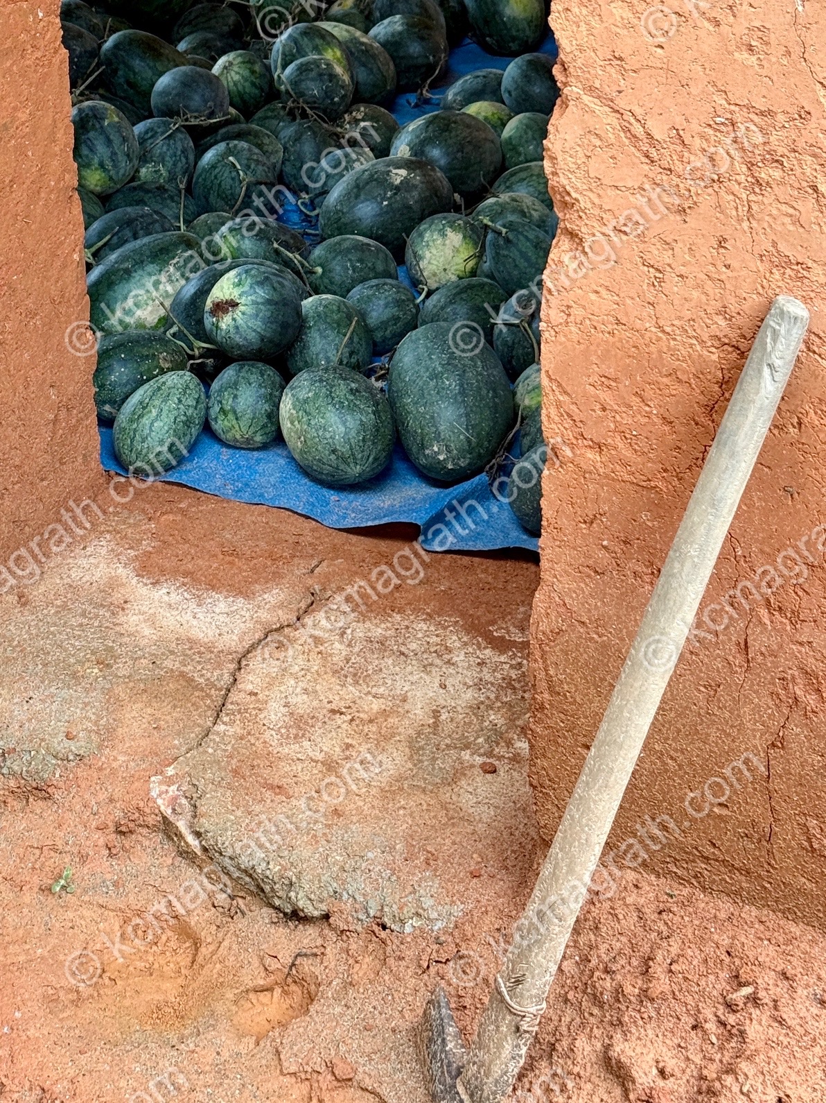 Quan Ba's Watermelons in Peach Colored Storage, Vietnam