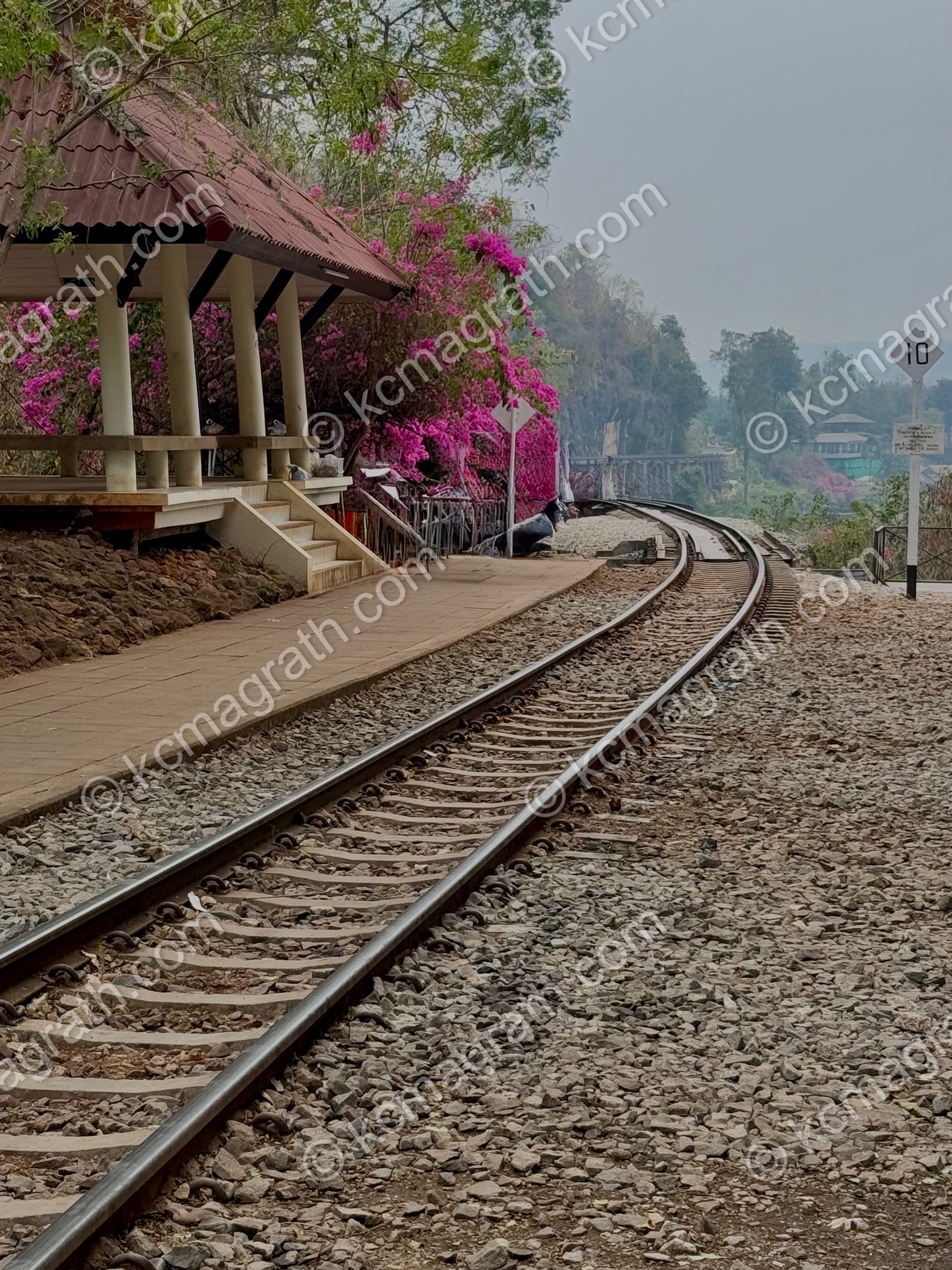 River Kwai's Tham Krasae Bridge Train Tracks with Pink Bougainvillea, Vietnam