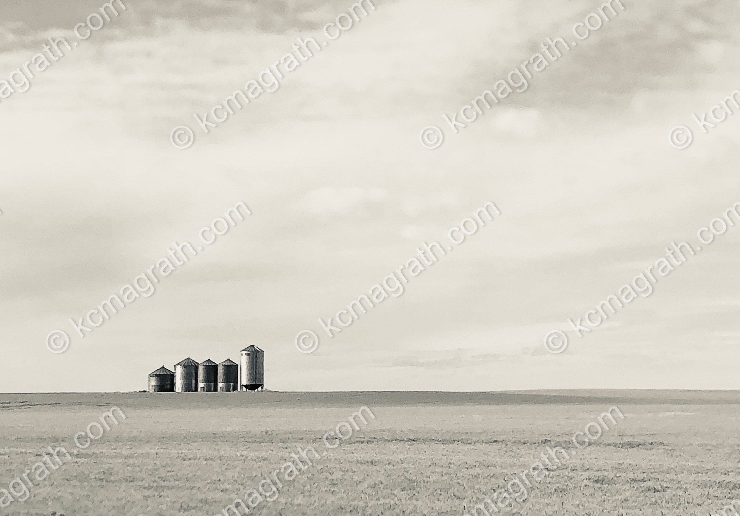 Carbon's Countryside with Silos, B&W, Alberta, Canada