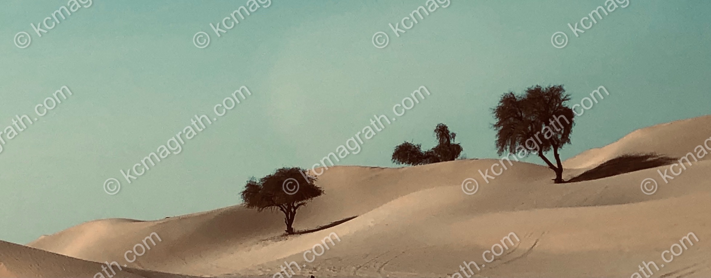 Abu Dhabi's Desert Dunes Landscape 2 With Three Trees, UAE
