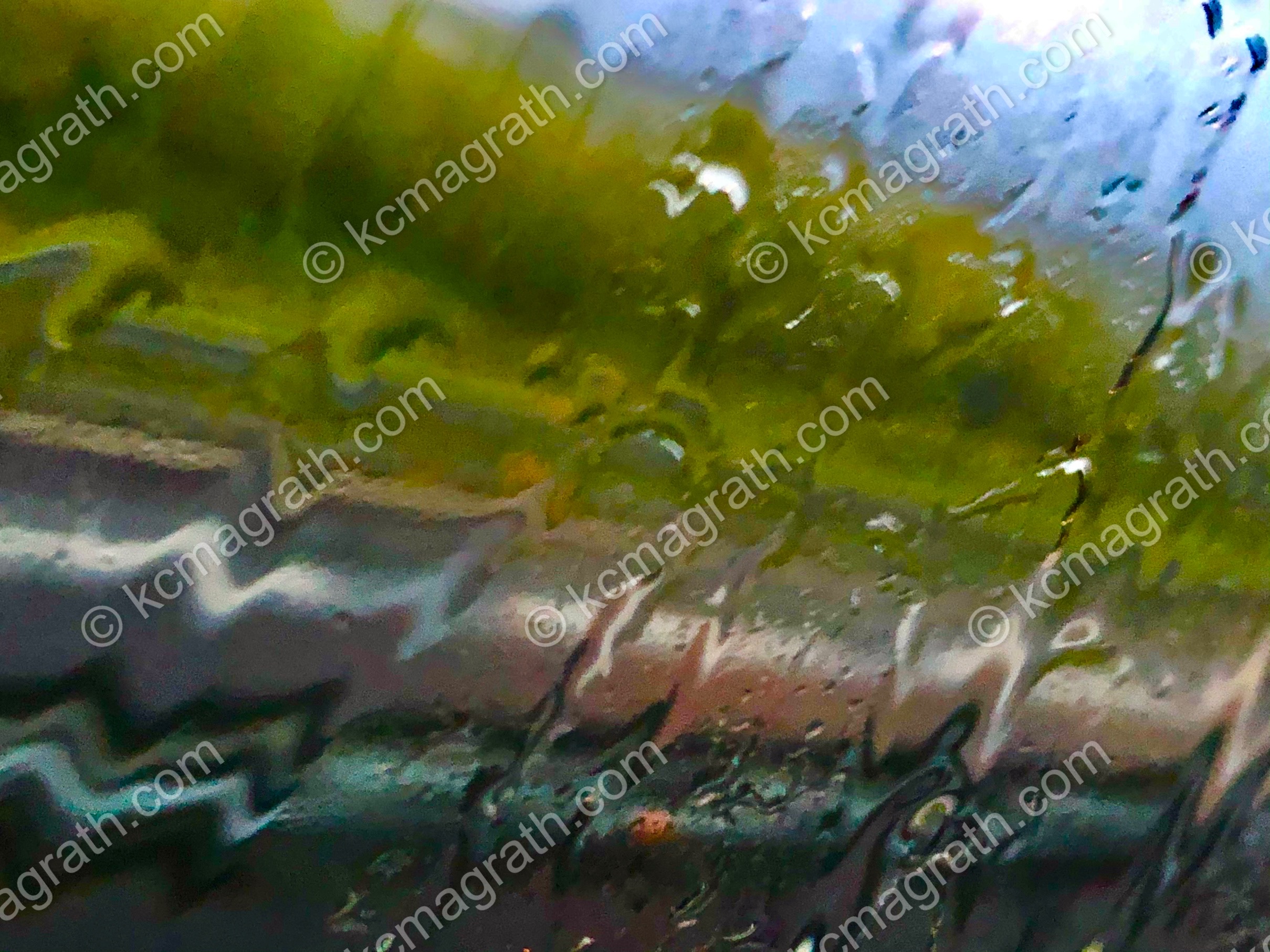 Rain on Glass, Abstract, Italy
