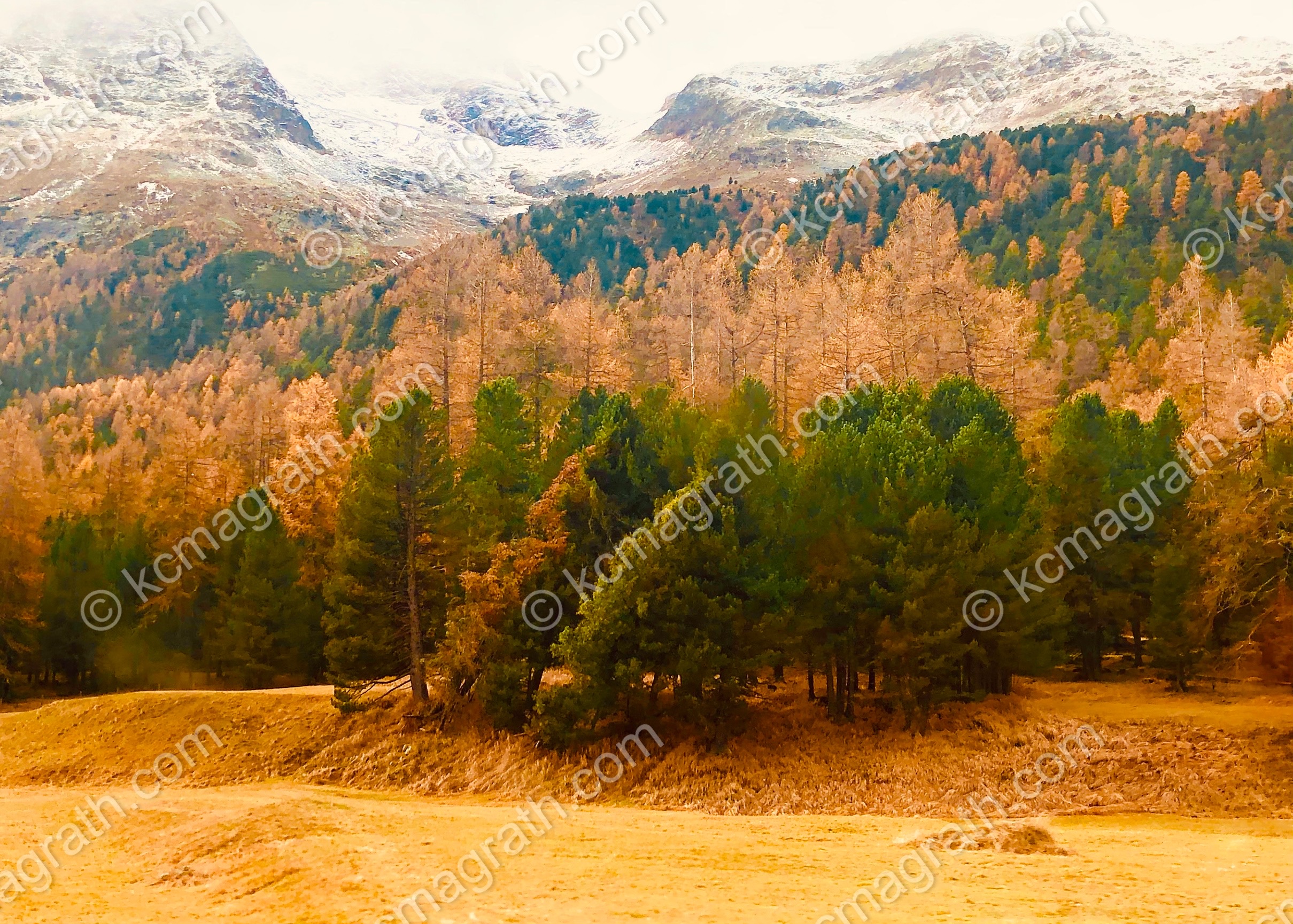 Pontresina's Swiss Alps in the Fall with Stunning Morning Light, Switzerland