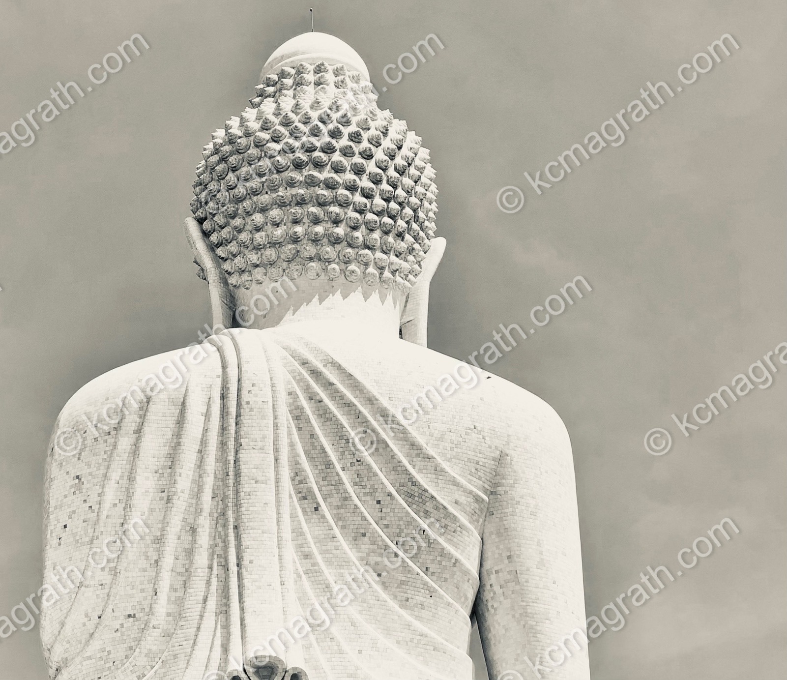 Ang Thong Province's Great Buddha, Backside, B&W, Thailand