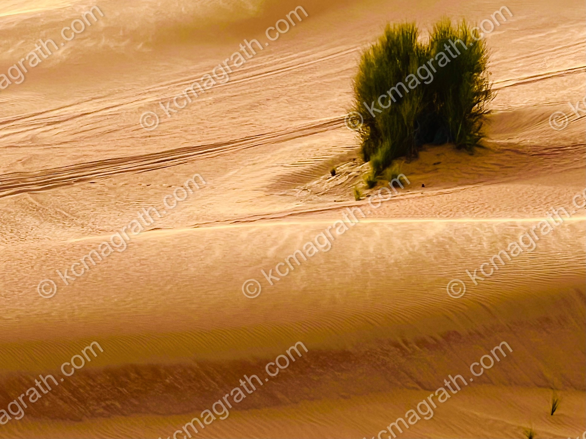 Dubai's Desert Dunes With Unique Ledge Formed by Sands Constantly Shifting From the Wind, UAE