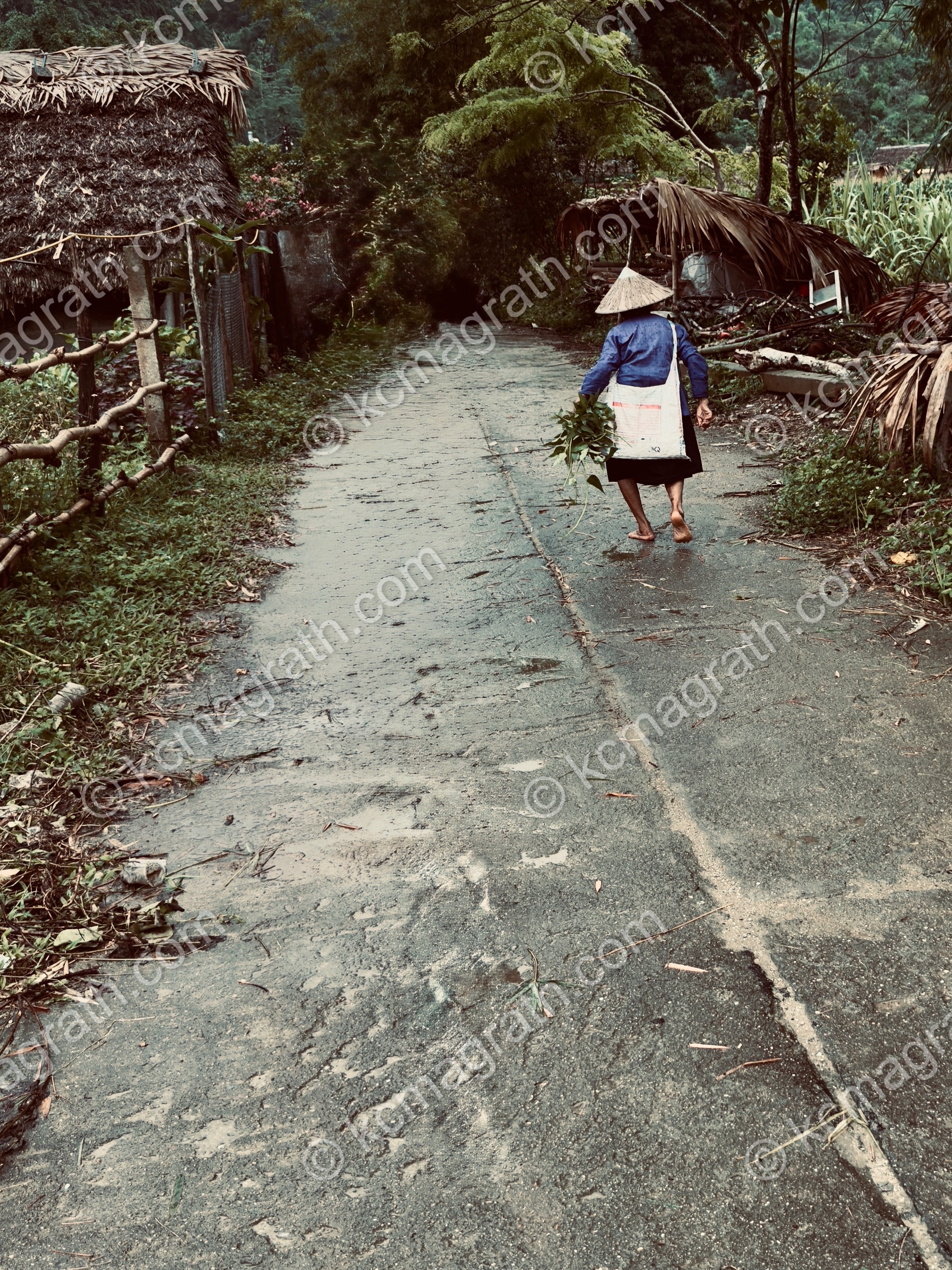 Elderly, Barefooted Grandma Walking in the Rain, Phuong Do, Vietnam