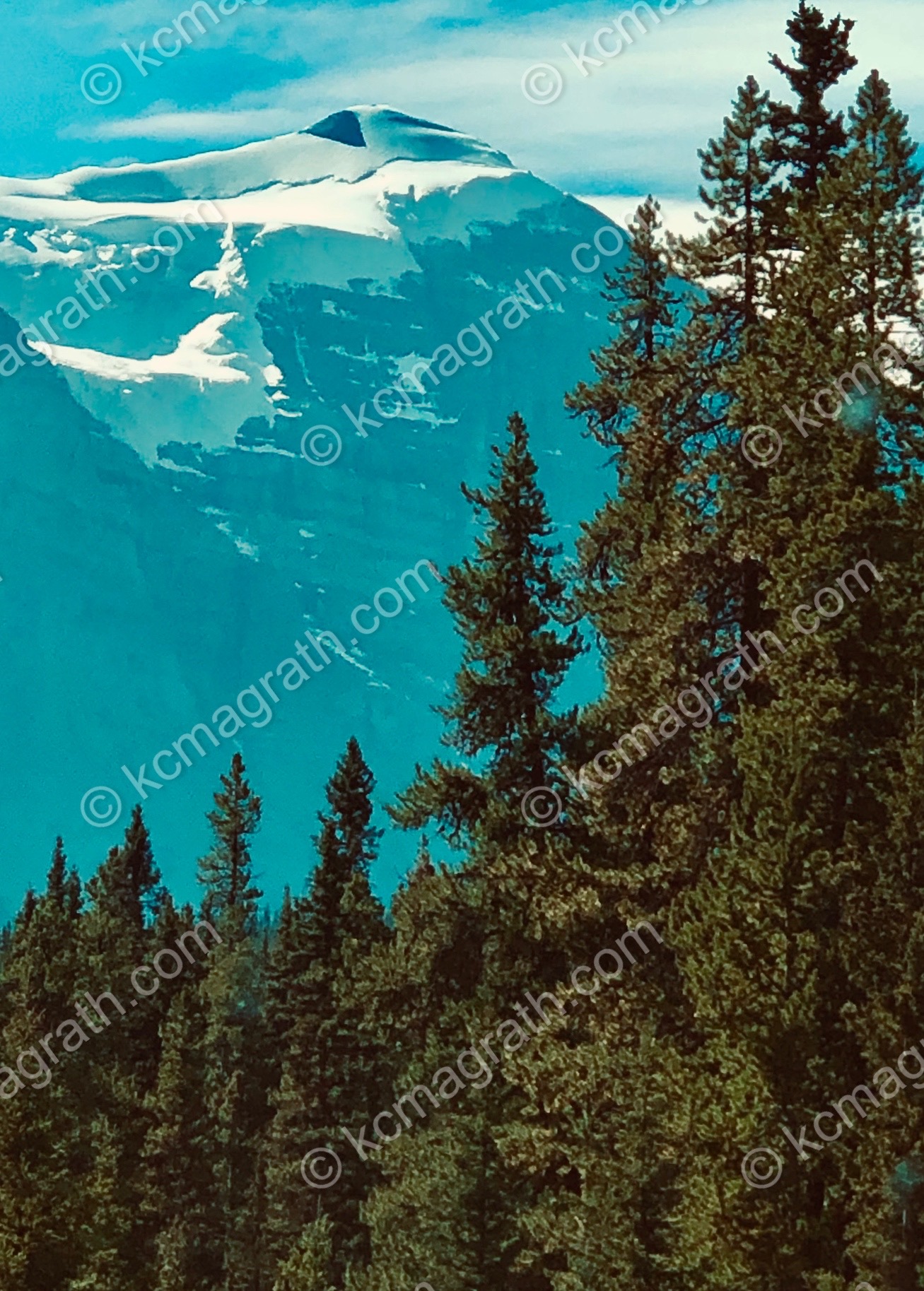 Banff's Canadian Rockies, Trees & Mountains 1, Alberta, Canada