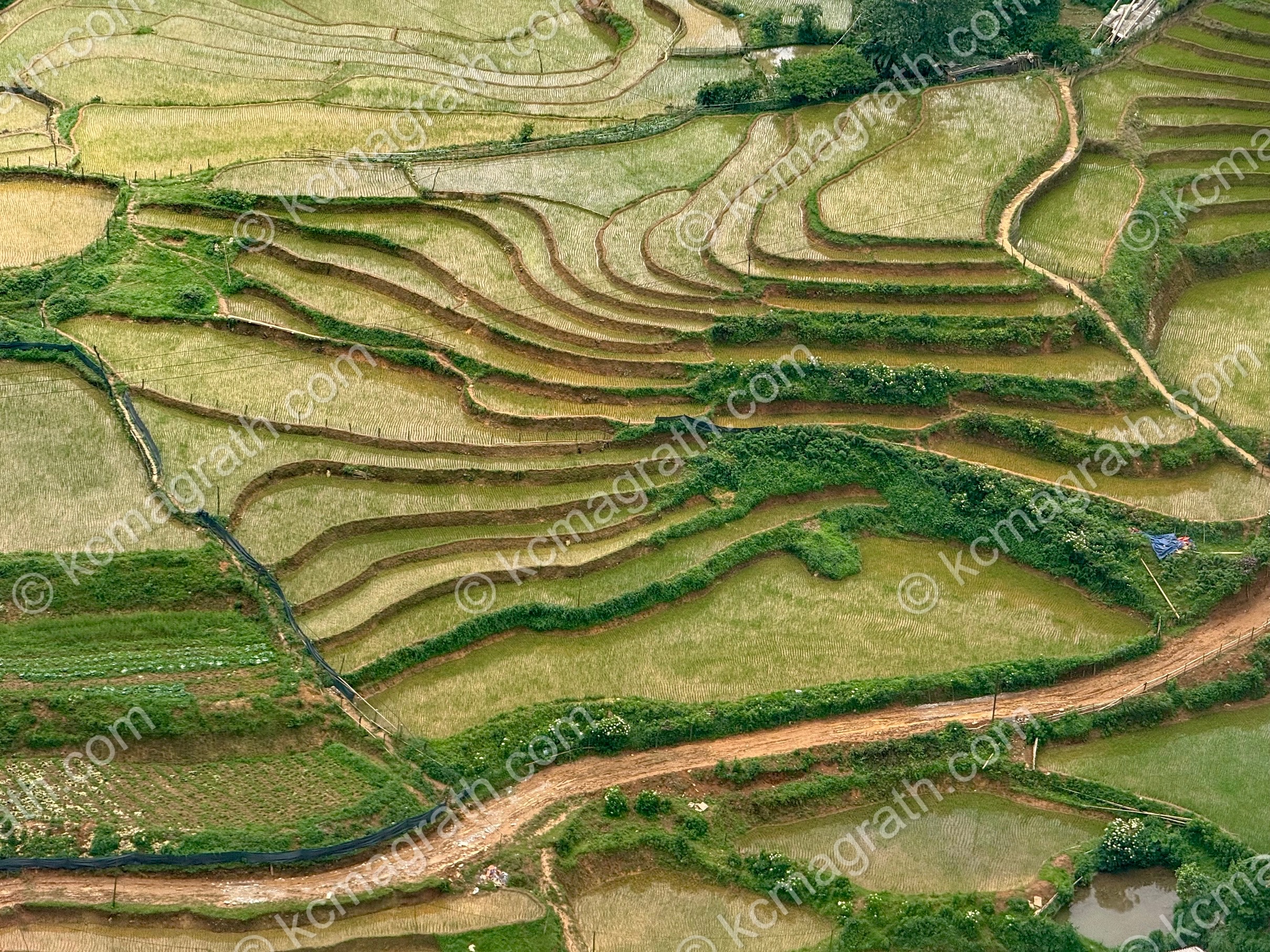 Sa Pa's Hoang Lien Terraced Rice Paddies 1, Vietnam
