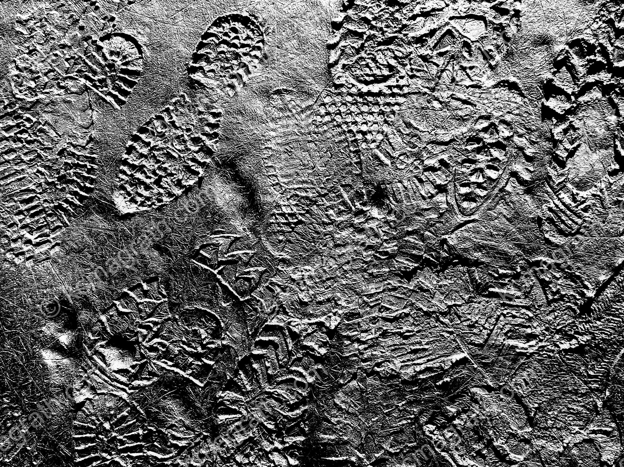 Footprints in muddy permafrost, #1, Mendenhall Lake, Juneau, Alaska, USA