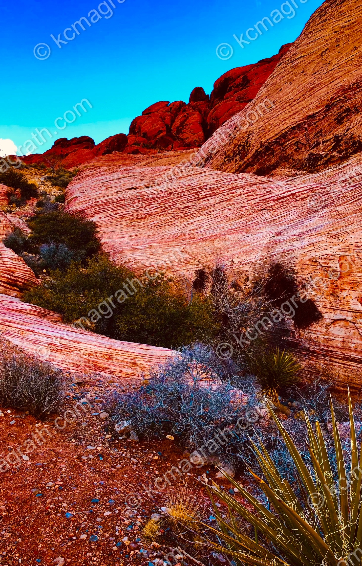 Las Vegas's Red Rock Canyon 3, Nevada, USA