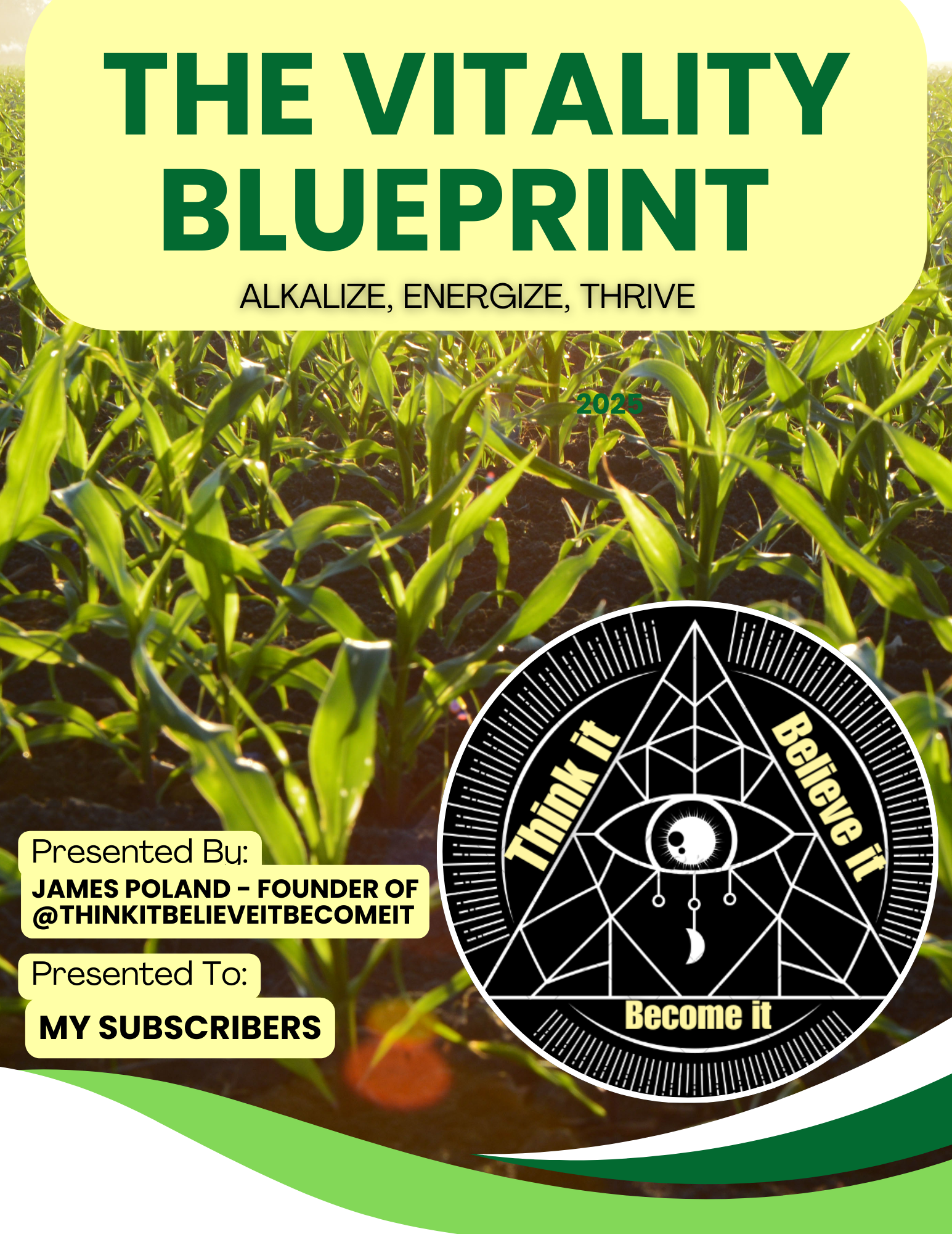 The Vitality Blueprint