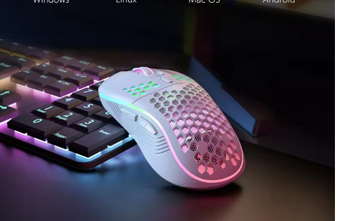 Wireless Gaming Mouse