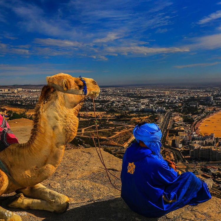 Camel Ride Experience – Desert Vibes in Agadir