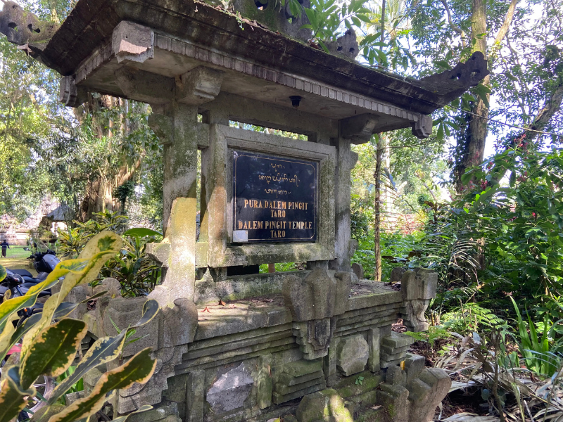 Journey Into Bali’s Heart