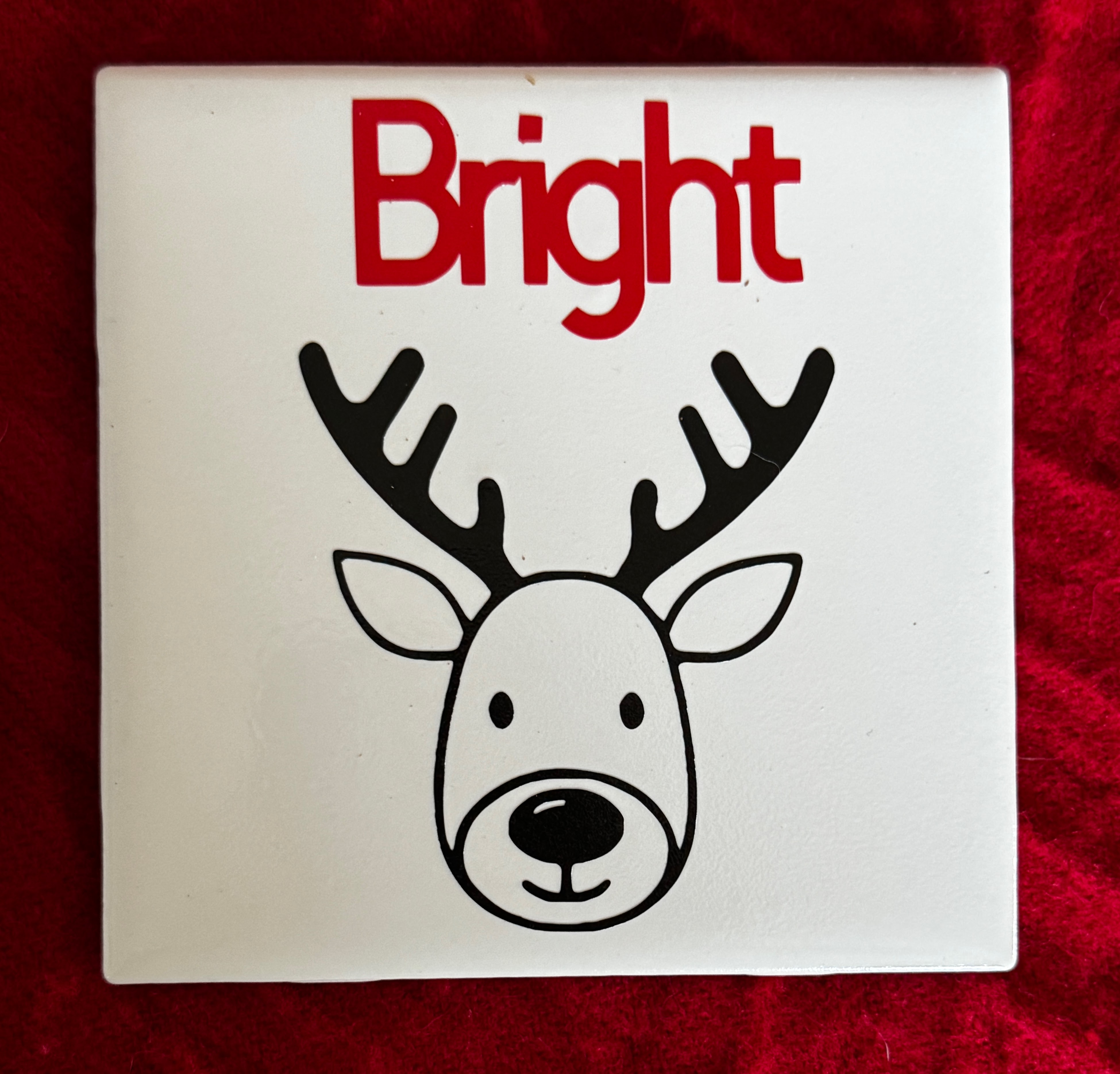 Christmas Themed Coasters