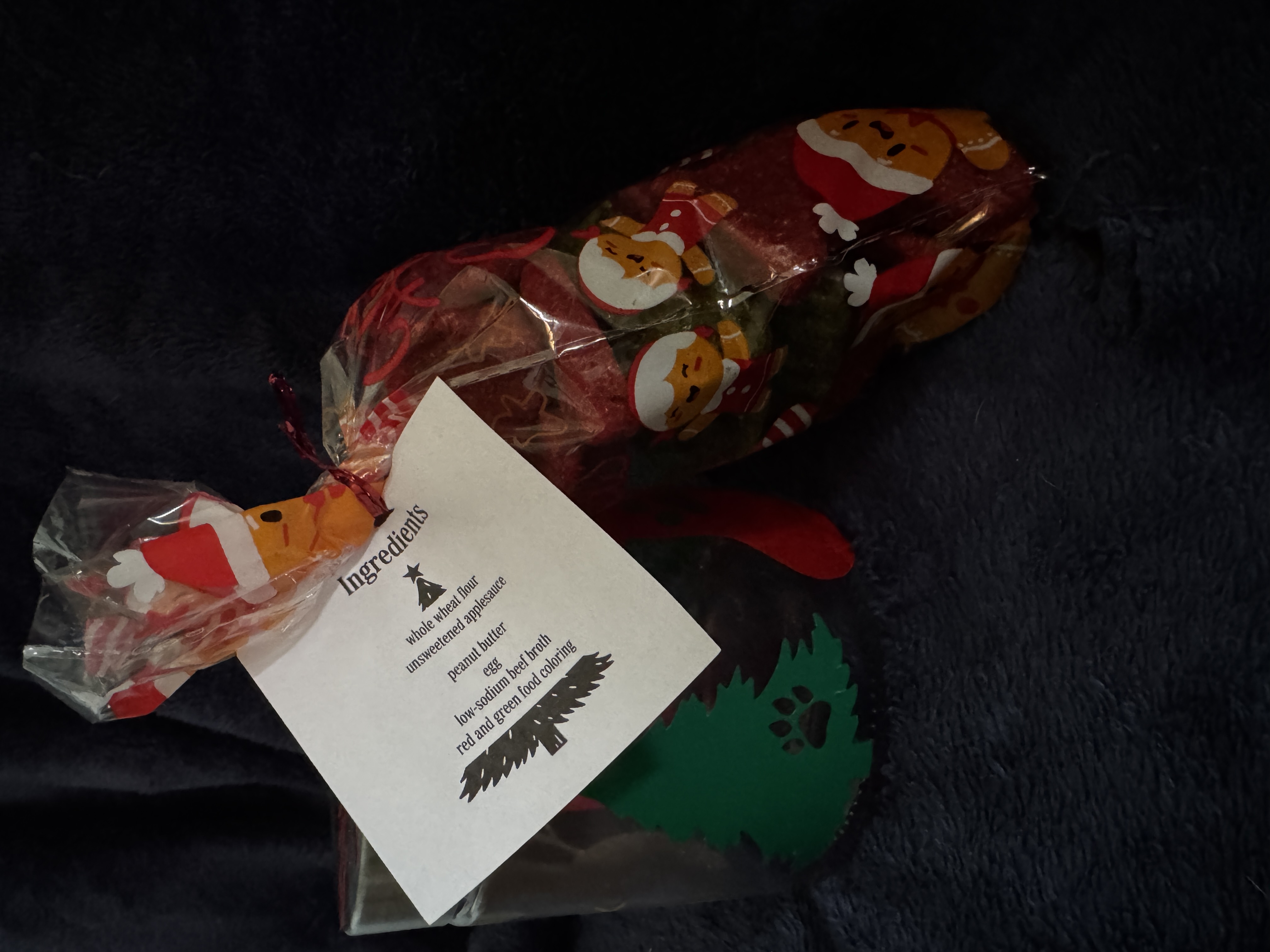 Holiday Dog Treat Jar with Homemade Dog Treats