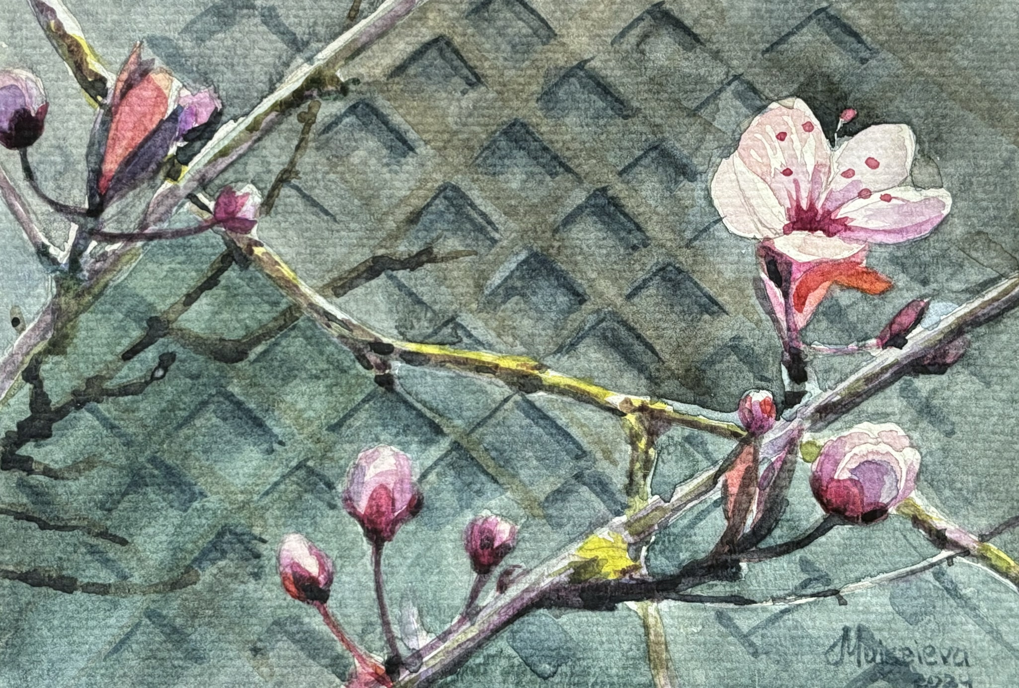 Plum Blossom - A Quiet Ode to Spring