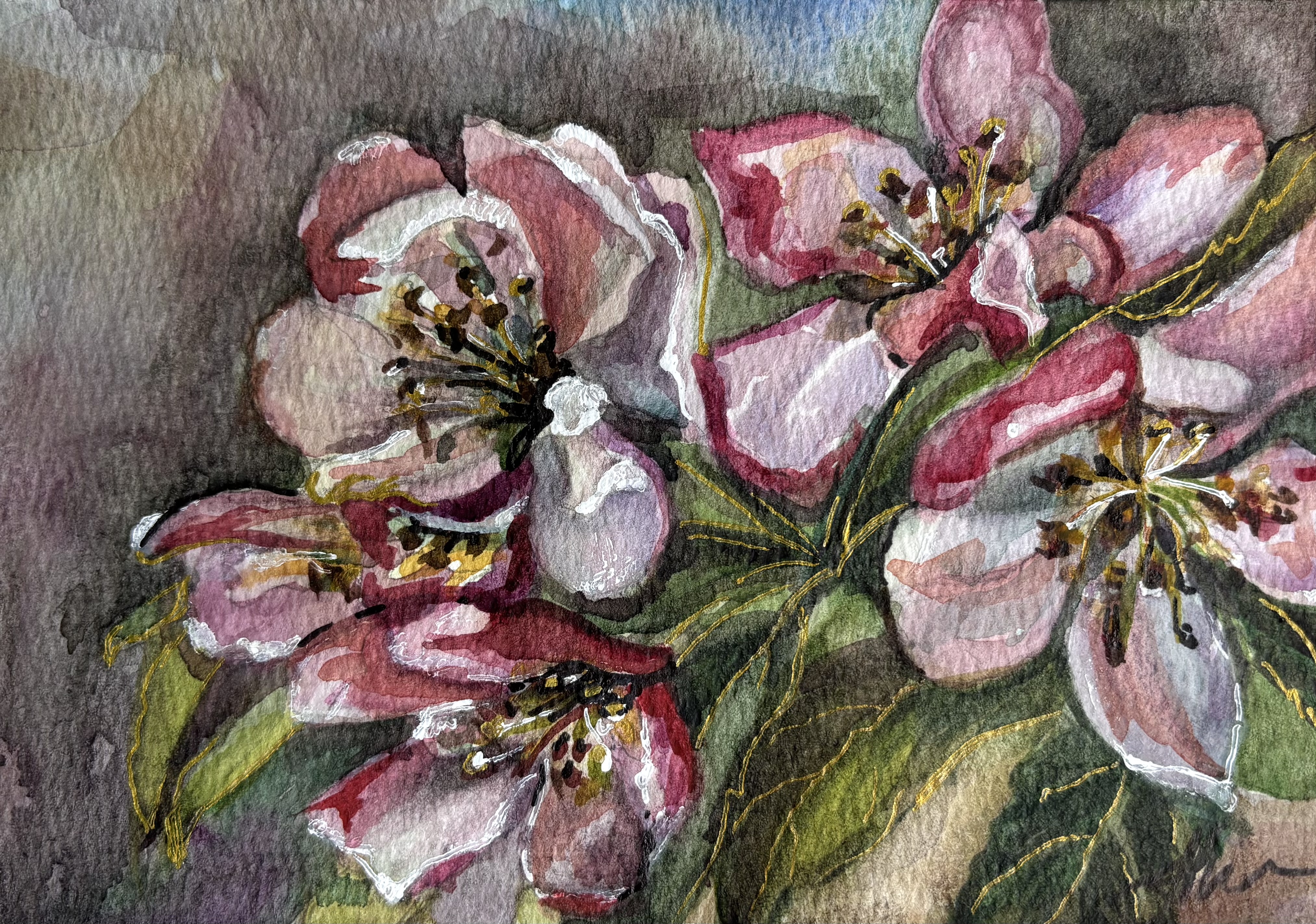 Apple Blossom