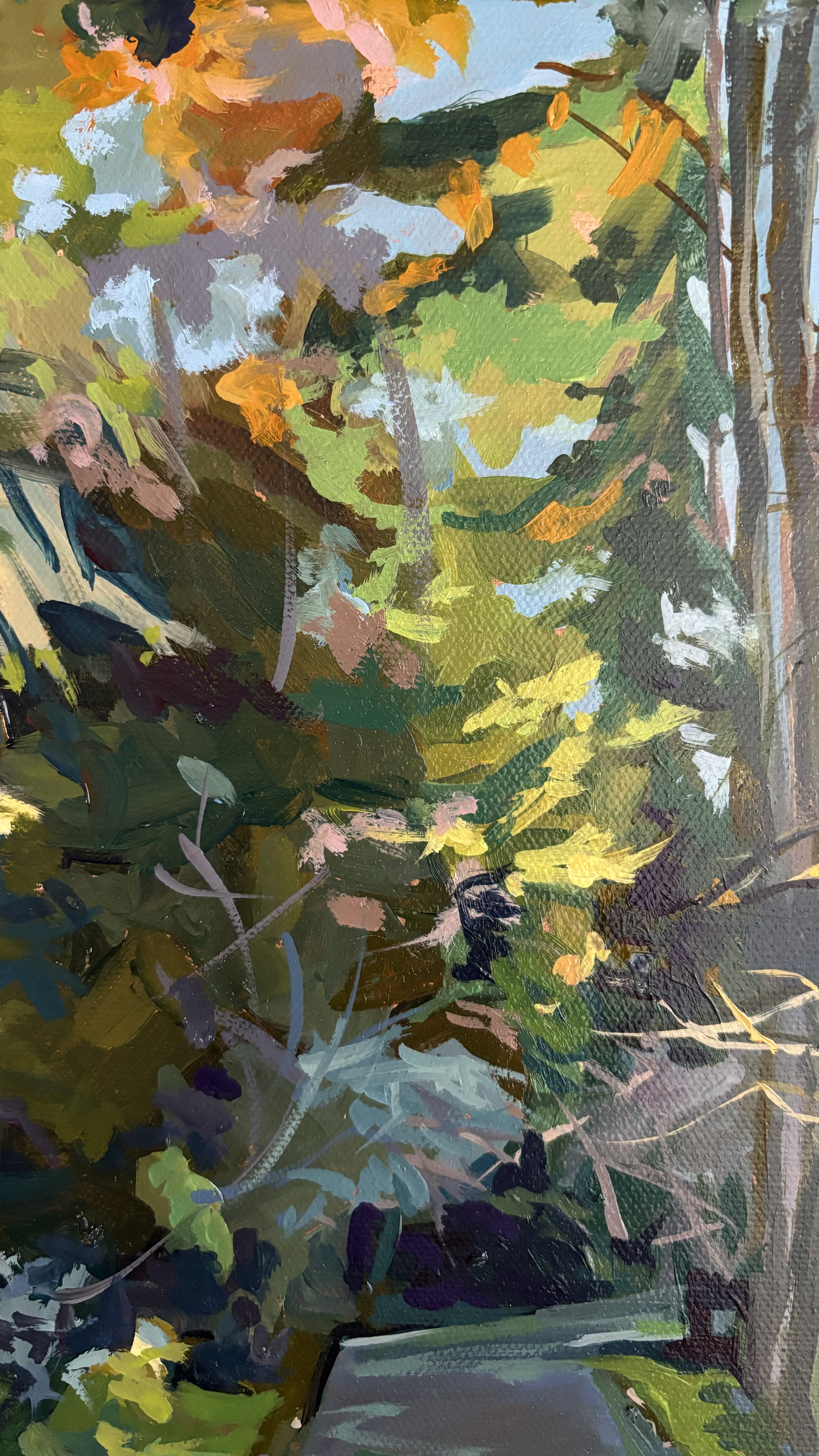 Interweaving sunbeams