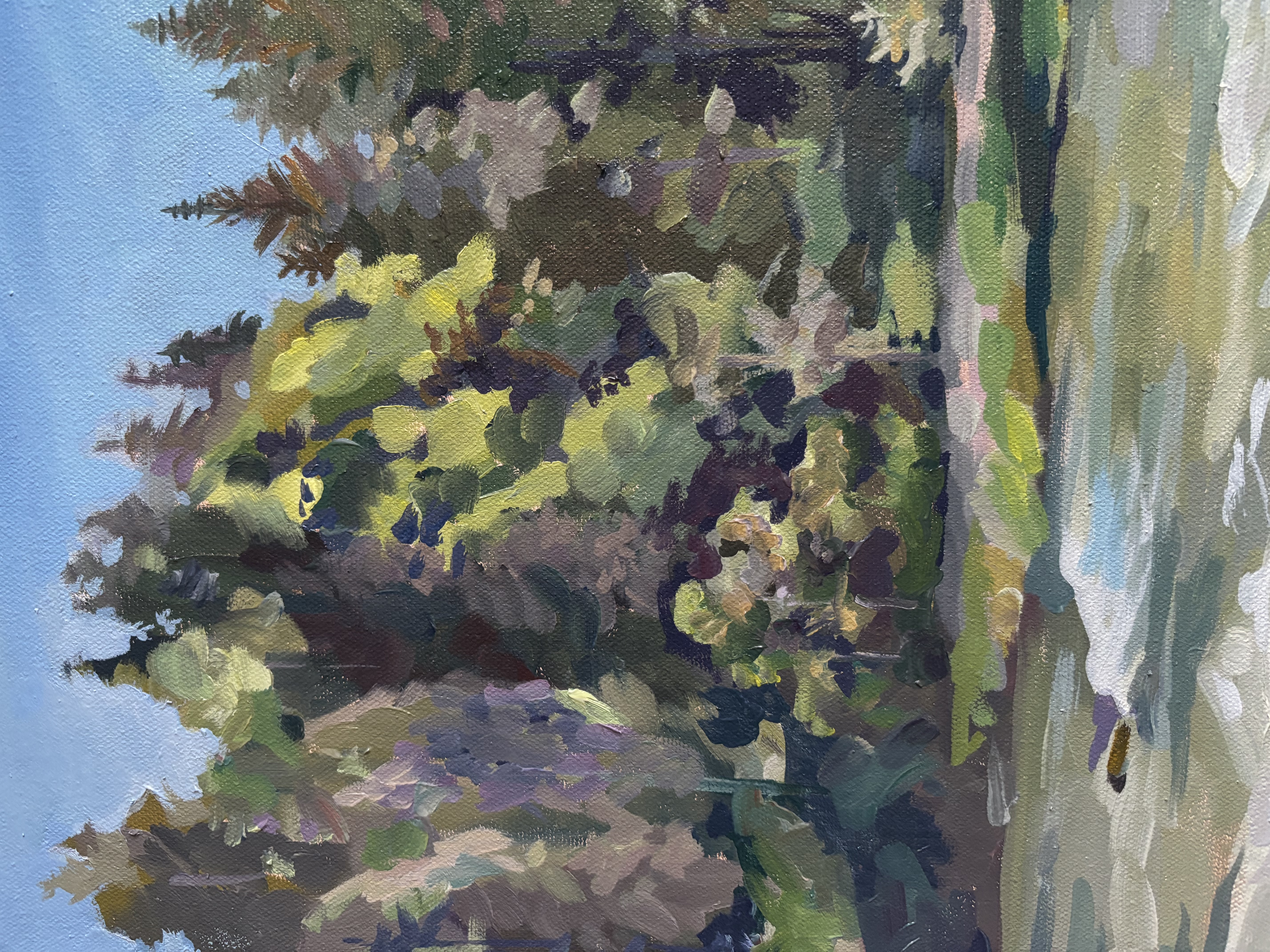 Enchanted River: Where Nature's Force Unfolds