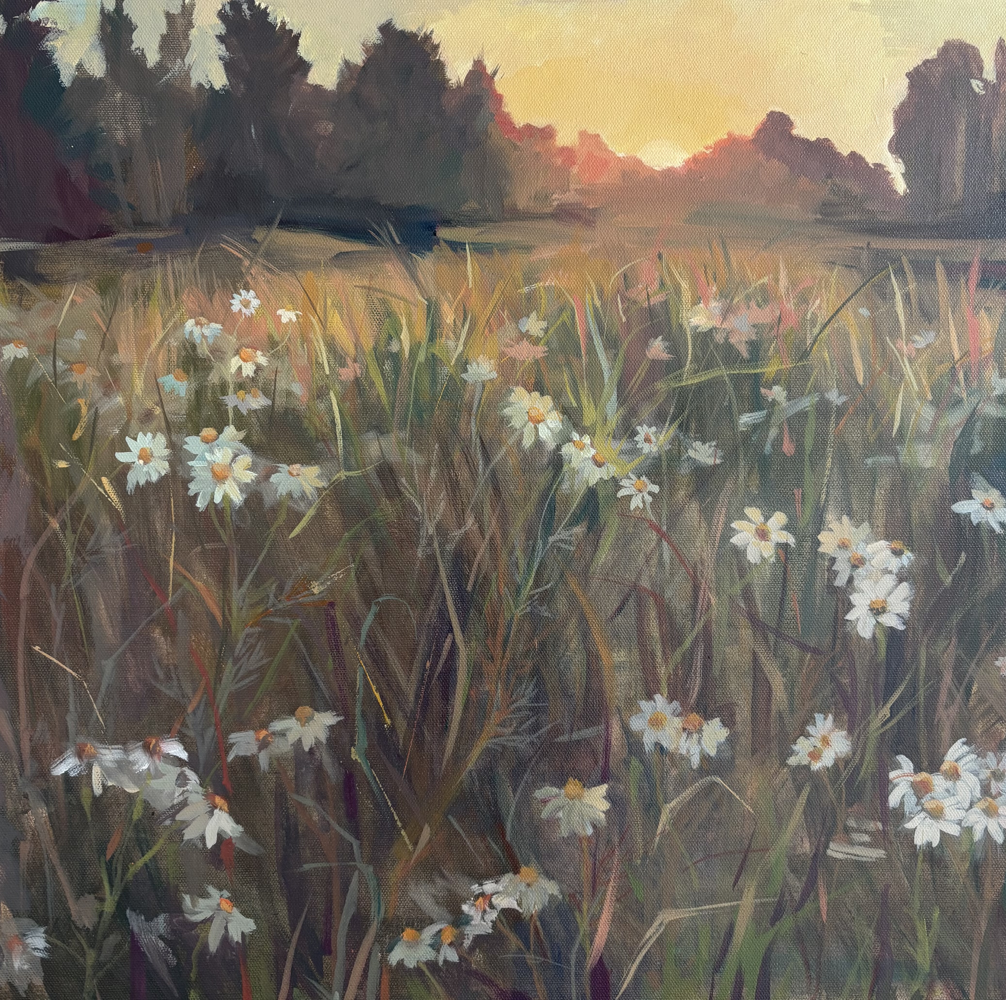 In Quiet Company – Original Oil Diptych of Wild Chamomile Field