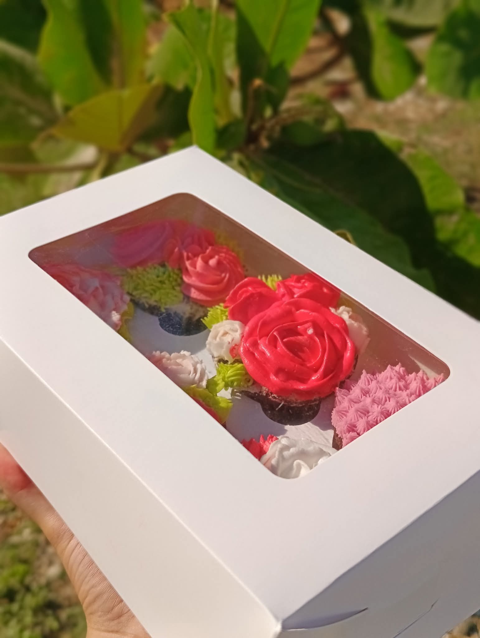 Caja de cupcakes decorados