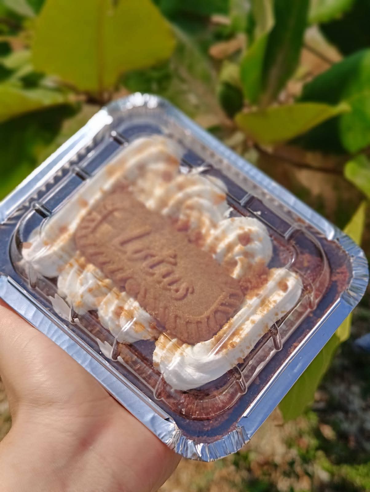 Mojadito con galleta Lotus