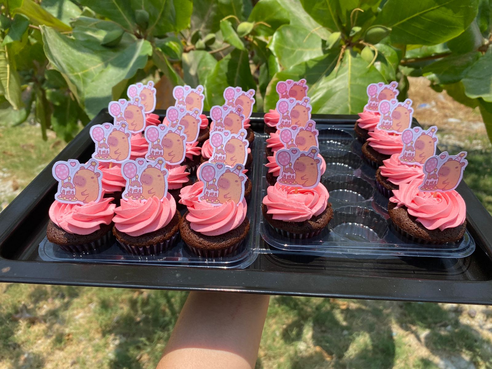 Cupcakes de Peppa Pig