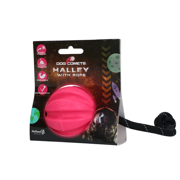 Hale-Bopp DOG COMETS