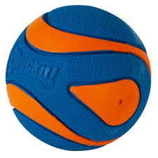 Ultra squearker ball L  CHUCKIT
