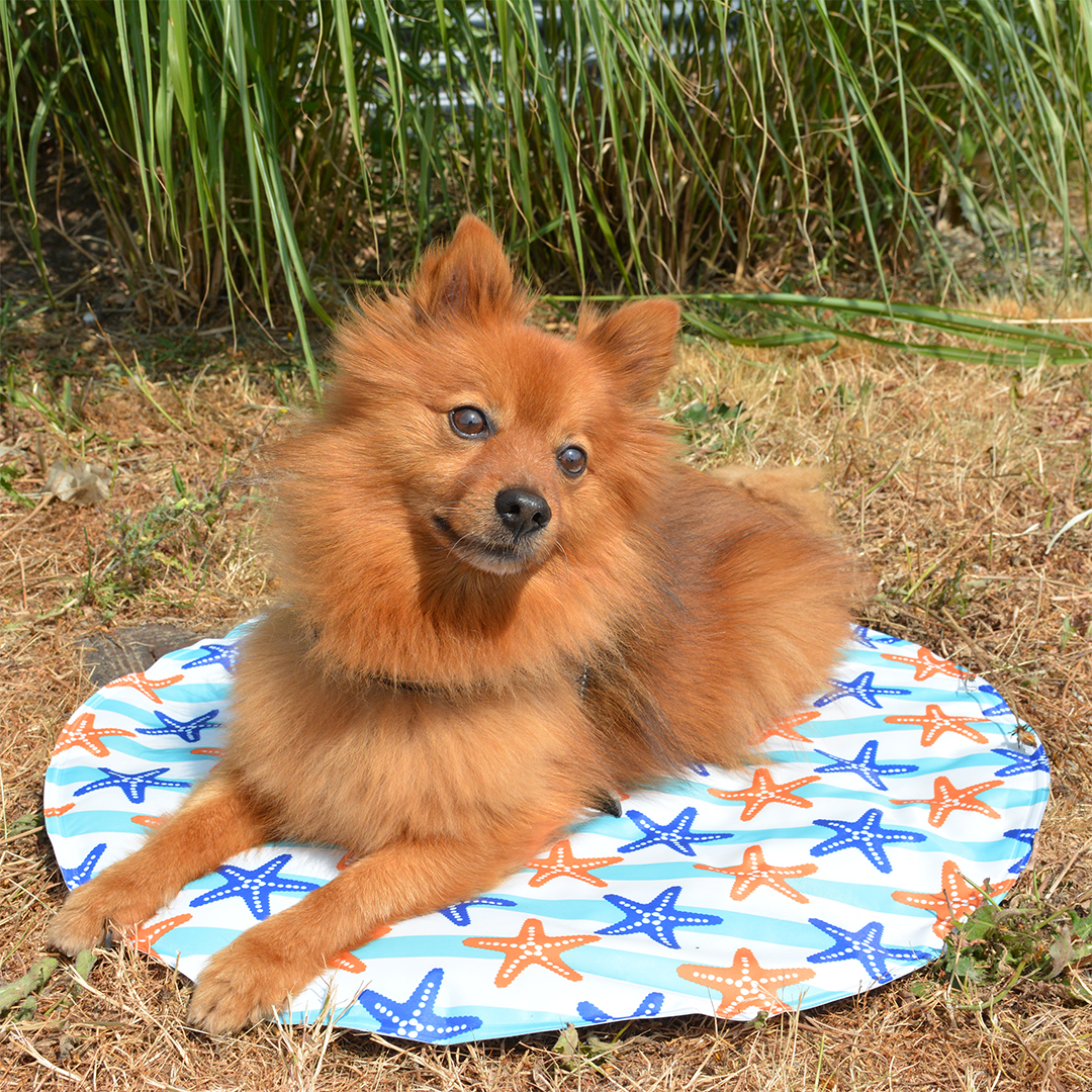 tapis rafraichissant DUVO+