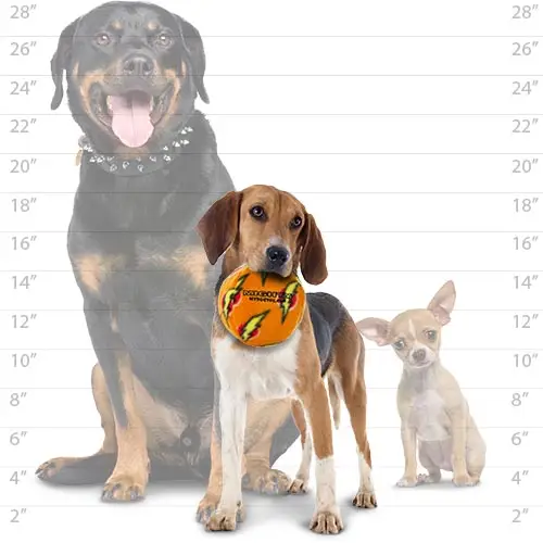 Mighty ball MYDOGTOY